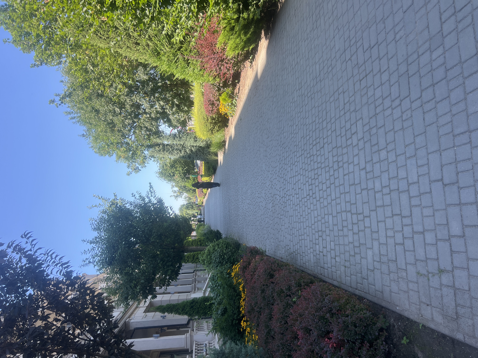 The image shows a person walking on a paved walkway lined with trees and bushes. The walkway is made of grey rectangular pavers and extends into the distance. On the left side of the walkway, there is a building with columns and decorative elements, and a row of bushes and flowers. On the right side, there are more trees and bushes, with some yellow flowers visible. The sky is clear and blue. The scene appears to be a park or a well-maintained public space, possibly in Fontanka, Ukraine, given the context.