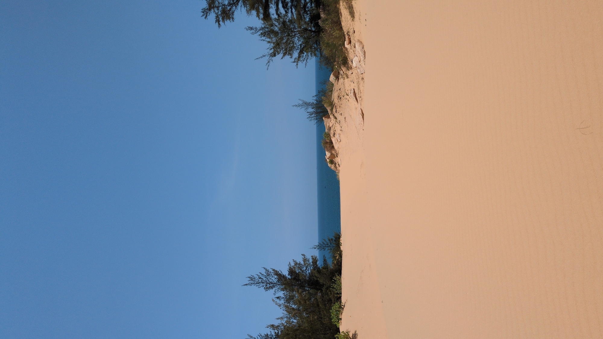 The image shows a view of the sky, ocean, and a sand dune. The sky is a clear, light blue, occupying a large portion of the left side of the image. A narrow strip of ocean is visible between the sky and the sand dune. The dune, which takes up the right side of the image, is a light tan color, suggestive of fine sand. Sparse greenery, including trees and shrubs, is visible along the edge where the dune meets the ocean. The location is Phuoc Dinh, Vietnam.