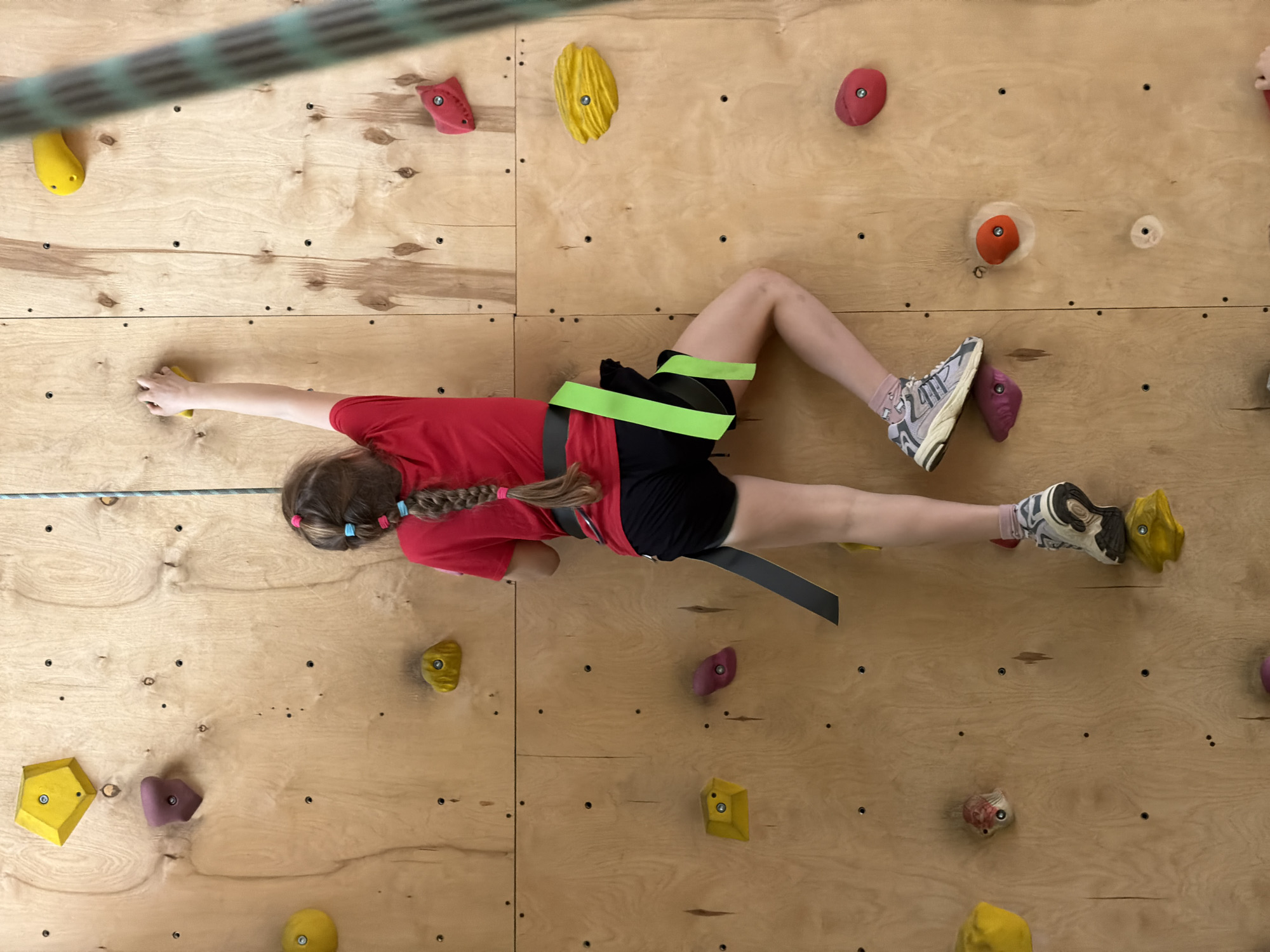 An overhead view captures a young person actively engaged in indoor rock climbing on a plywood wall in Izhevsk, Russia. The climber, positioned horizontally across the frame, wears a red short-sleeved t-shirt, black shorts, and a black climbing harness with neon green straps. Their light brown hair is styled in two braids, each secured with blue and pink elastic bands. They wear grey, white, and black athletic shoes over pink socks.
The climber's right hand extends towards a yellow climbing hold, while their left hand is placed on another hold to their left. Their feet are positioned on various colorful holds, including a yellow one gripped by their right foot. The climbing wall is made of light-colored plywood panels, fitted with numerous brightly colored holds of diverse shapes and sizes, including yellow, red, purple, and orange. A green and black striped safety rope runs diagonally across the top of the frame and horizontally through the middle of the wall, connected to the climber's harness, indicating safety measures are in use. The image conveys a moment of focused physical activity in an indoor climbing environment.