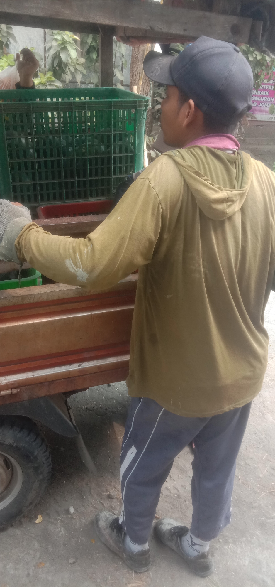 In Banjar Dowo, Indonesia, a person wearing a dark baseball cap and a tan hooded long-sleeved shirt stands next to a truck. The person also wears dark blue pants with white stripes and dirty black shoes. They are holding a gray glove in their left hand. Behind the person, a green plastic crate is visible, filled with objects that appear to be dark-colored produce. The truck has a reddish-brown wooden bed. The ground is dusty dirt with scattered small stones and leaves. In the background, there are trees with green foliage and some faint signage on the right side. The scene appears to be outdoors during daylight.