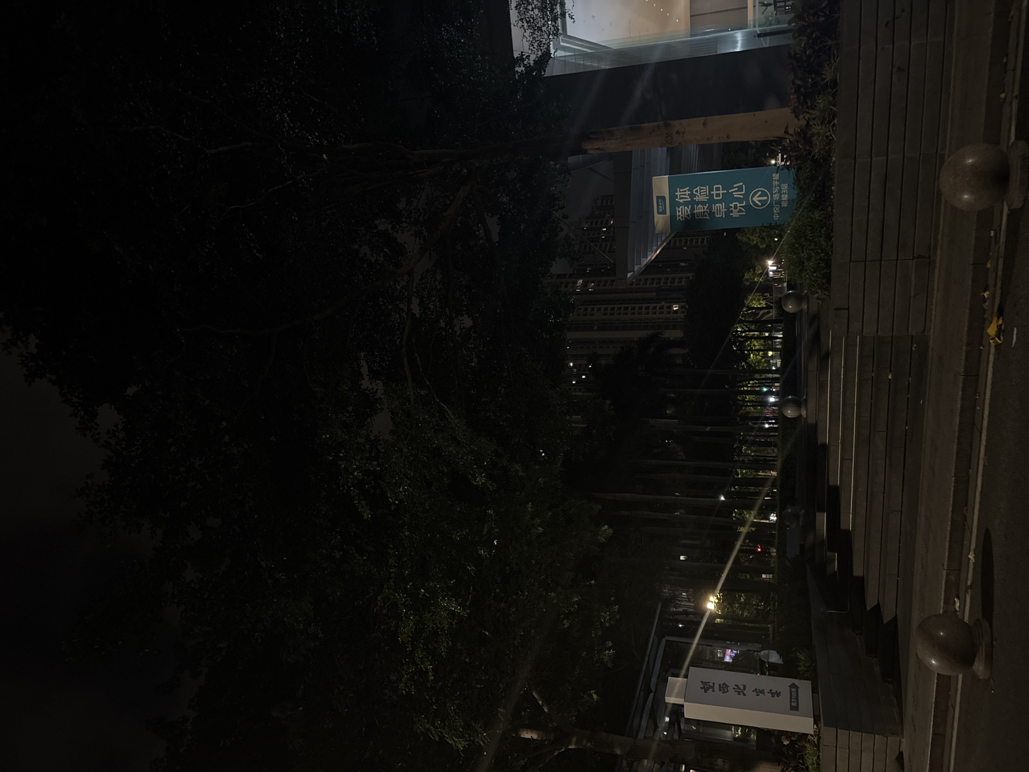 This is a nighttime, low-angle shot of an outdoor scene in Haizhu District, China. The image is primarily dark, with trees and foliage dominating the left side. The right side features a set of outdoor stairs leading upwards, with a paved walkway to the right of the stairs. Two decorative spherical bollards are visible on the walkway.
A prominent blue and white sign is mounted on a pole, partially obscured by trees and vegetation. The sign contains Chinese text, which reads "爱康卓悦体检中心" (Aikang Zhuoyue Health Checkup Center) and "中悦广场写字楼 裙楼3层" (Zhongyue Plaza Office Building, Podium Level 3). An arrow points to the right. Another white sign with Chinese text is visible further in the background.
In the background, a modern building with glass facades and illuminated windows is visible. The lighting suggests it is nighttime. The weather appears clear, as there are no visible signs of rain or fog. The scene is relatively empty, with no people clearly visible, though the presence of umbrellas and the illuminated windows of the building suggest activity within. The overall mood is calm and perhaps a little mysterious due to the low light conditions.