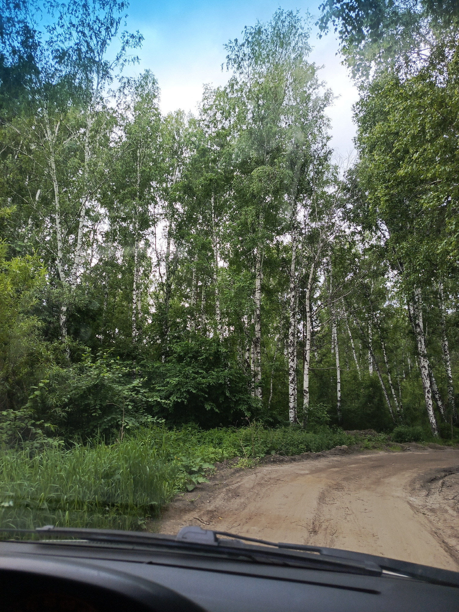 A dirt road curves to the right through a forest of birch trees. The trees have white bark with black markings and are covered in green leaves. Tall green grass grows along the left side of the road. The sky above is blue with some clouds. The view is from inside a vehicle, looking out through the windshield, which has windshield wipers visible in the foreground. The location is a road in the city of Meget, Russia.
