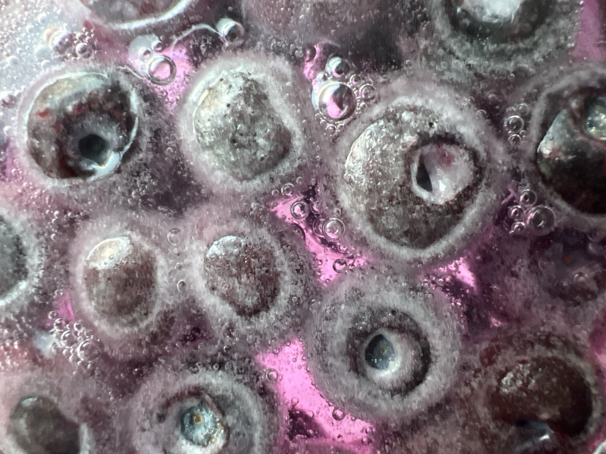 This is a macro photograph of blueberries submerged in a liquid. The blueberries are dark blue or purple, and many have a lighter, almost white bloom on their surface, which is characteristic of fresh blueberries. They are clustered together, with some appearing whole and others showing their internal structure, such as the dark pit in the center of some. The liquid surrounding the blueberries is a vibrant pinkish-purple color, suggesting it may be the juice from the berries or another colored liquid. Numerous small bubbles are suspended in the liquid, adding texture and a sense of effervescence to the image. The lighting appears bright, creating highlights on the bubbles and the moist surfaces of the blueberries. The overall impression is one of intense detail and the rich colors of the fruit and its medium. No people, text, or specific environmental cues are visible. The close-up perspective focuses solely on the blueberries and their immediate surroundings, abstracting them from any larger context.