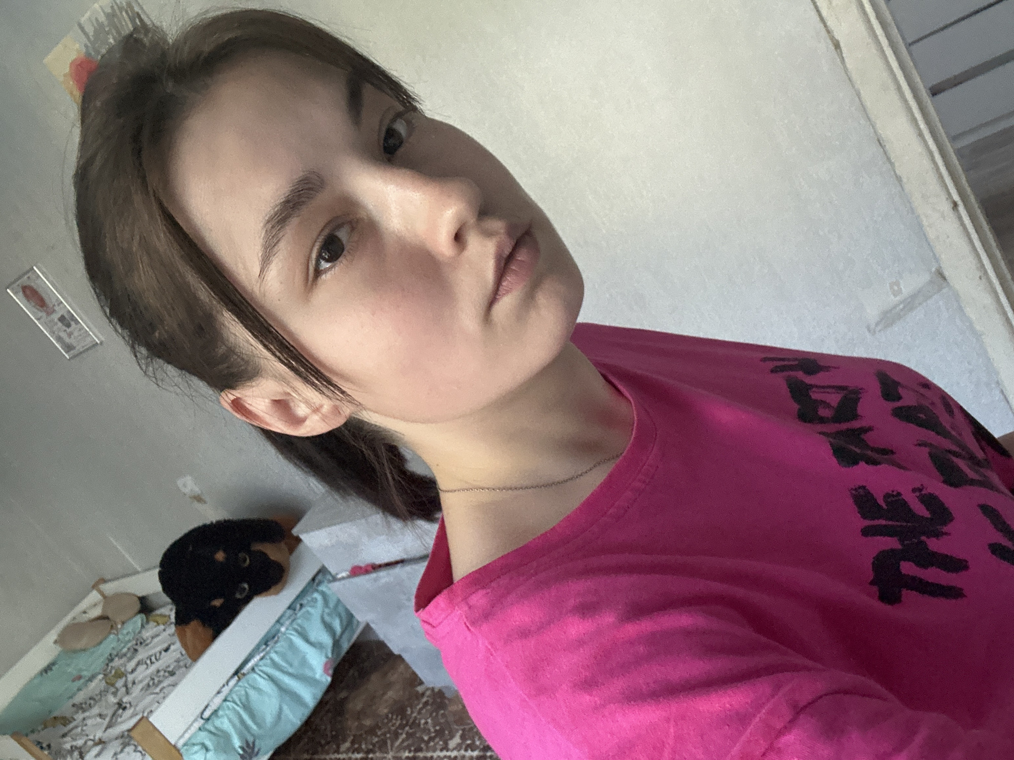 The image is a selfie of a young woman with brown hair, wearing a bright pink t-shirt with black lettering. She is looking directly at the camera with a neutral expression. In the background, on a bed or sofa with patterned sheets and a blue cover, a plush toy dog is visible. The setting appears to be indoors, possibly a bedroom, with a light-colored wall behind the woman and a white trim along the bottom of the frame. There are also some framed pictures or posters on the wall in the upper portion of the image. The scene is well-lit, suggesting it was taken during the daytime. The overall impression is a casual, personal snapshot.