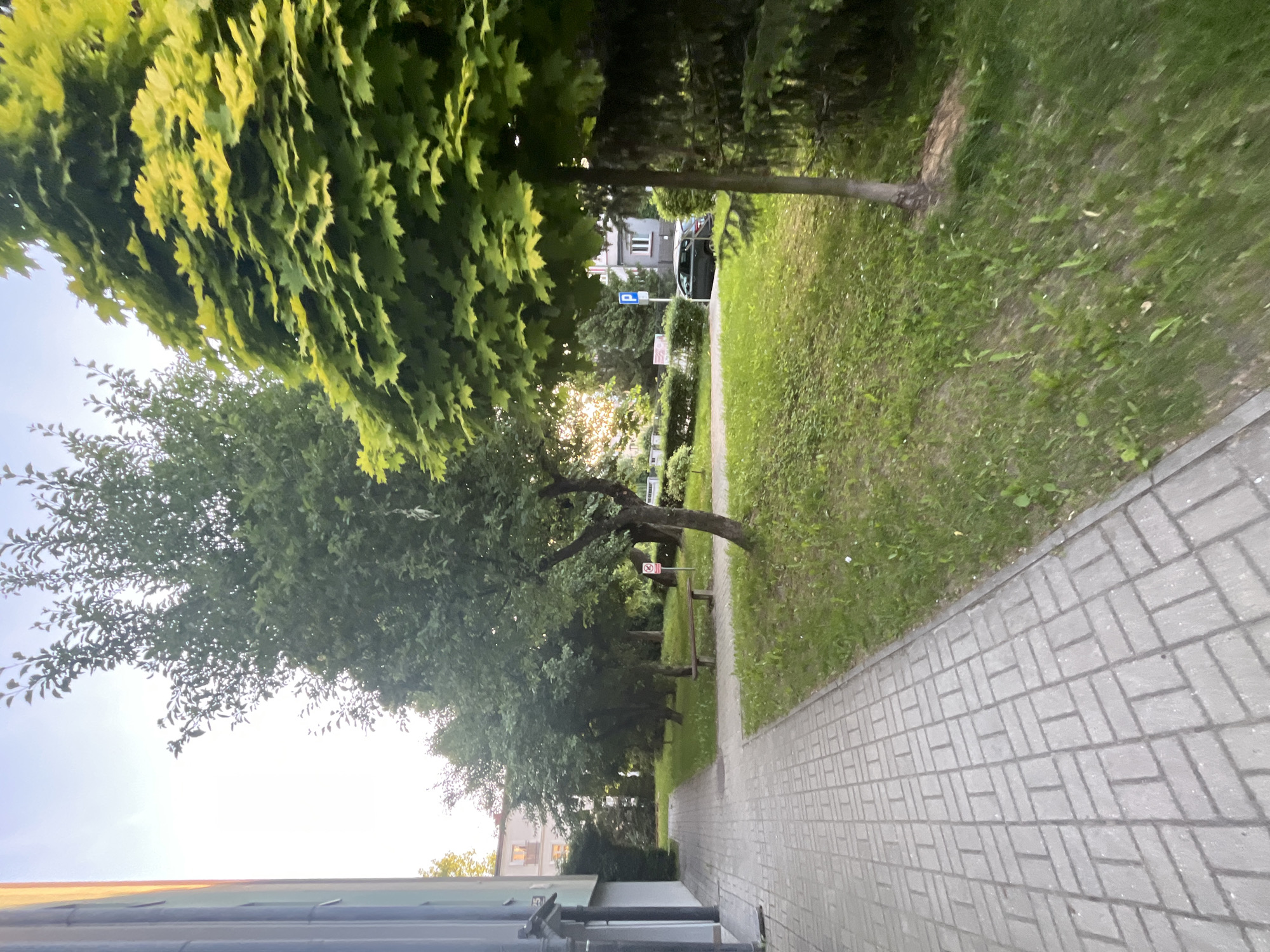 The image shows a park or green space adjacent to a brick-paved walkway, possibly a sidewalk. The location is unknown. Trees overhang the walkway, creating shade. The grass is visible on the side opposite the brick. There are benches along the path. At the far end of the walkway, light is visible between the trees, suggesting an opening or street. A car and a parking sign are visible in the distance. There are buildings on either side of the walkway. The image is slightly rotated.