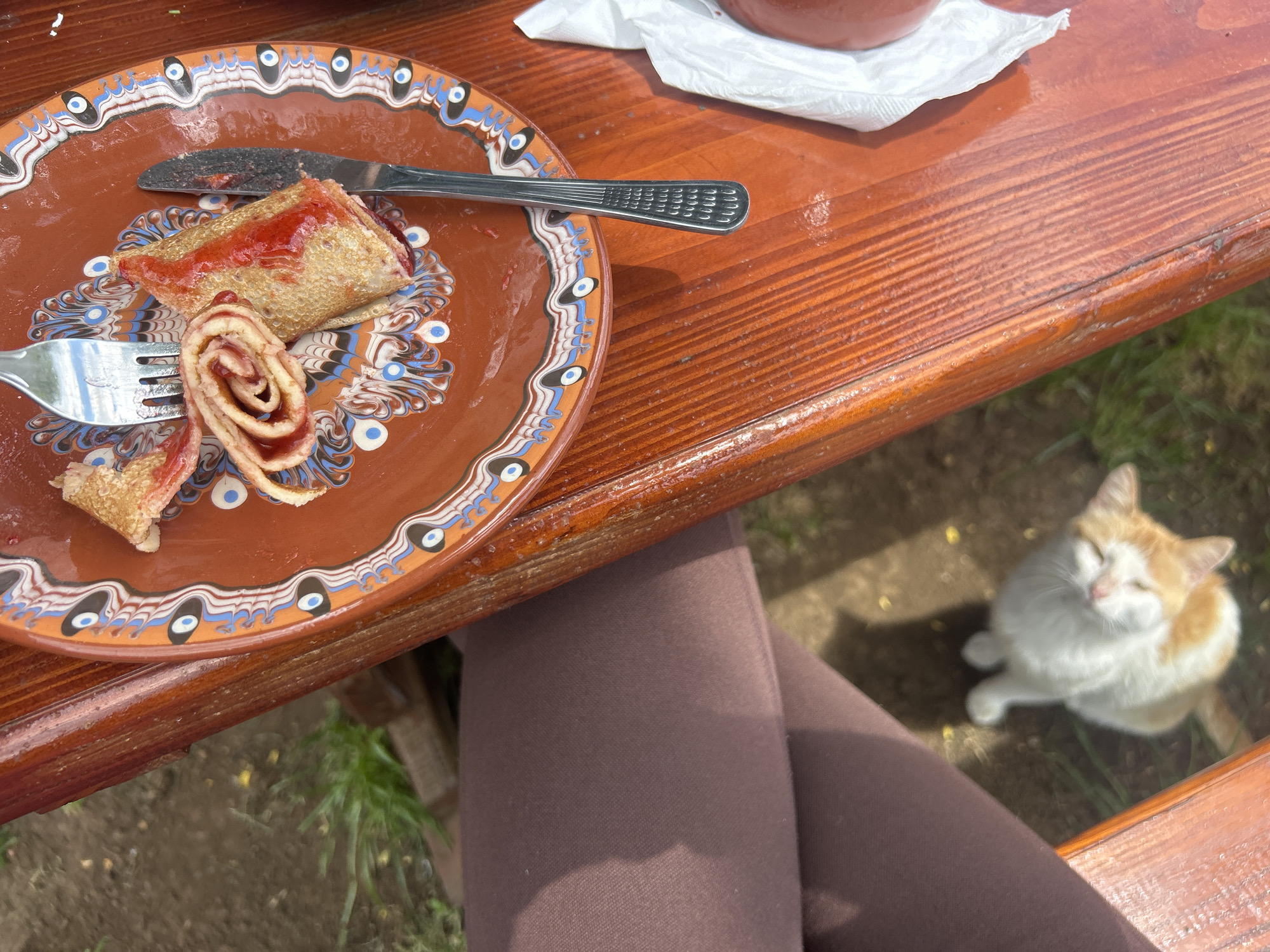 An overhead shot depicts a partially consumed rolled crepe with strawberry jam on a brown earthenware plate with folk-inspired decorative rim, accompanied by a fork and knife. The plate sits on a wooden picnic table. A person wearing brown leggings is seated at the table. A white and tan cat sits on the ground beside the table, looking upward. The scene is likely in Meshtitsa, Bulgaria, given the unique pottery style found in the region. The environment appears to be outdoors, possibly in a restaurant or public space.