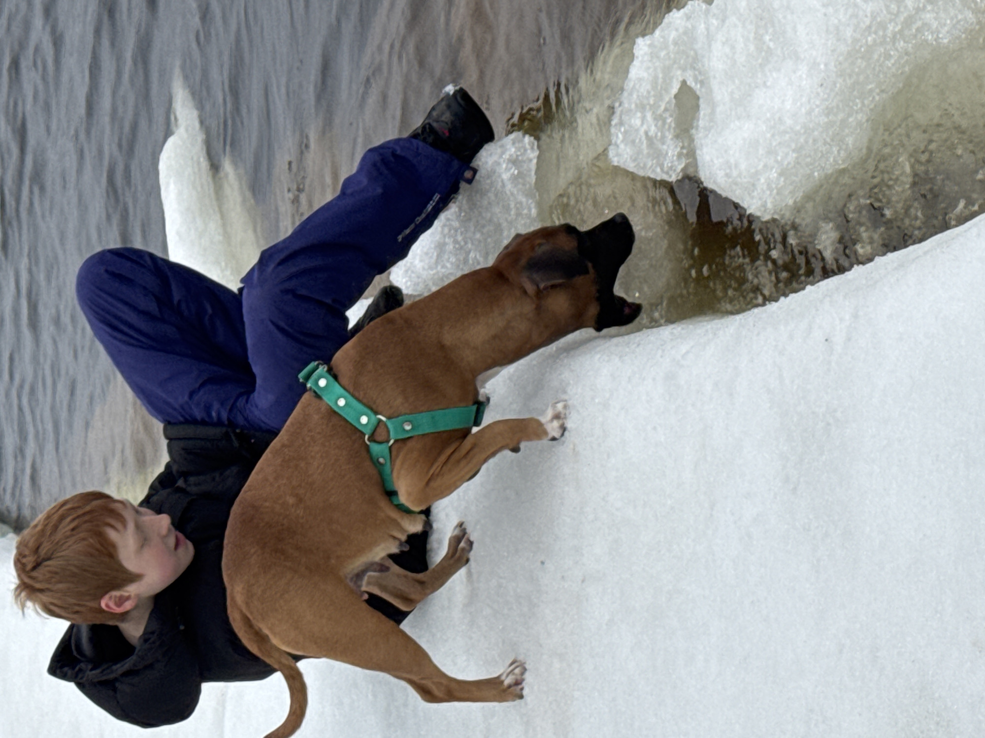 A young, light-skinned male with red hair, wearing a black jacket and blue pants, lies on his back on a snow-covered surface alongside a body of water with ice formations. A brown dog with a black muzzle and a green harness stands on the snow, looking toward the water. The location is identified as Noviy, Russia.