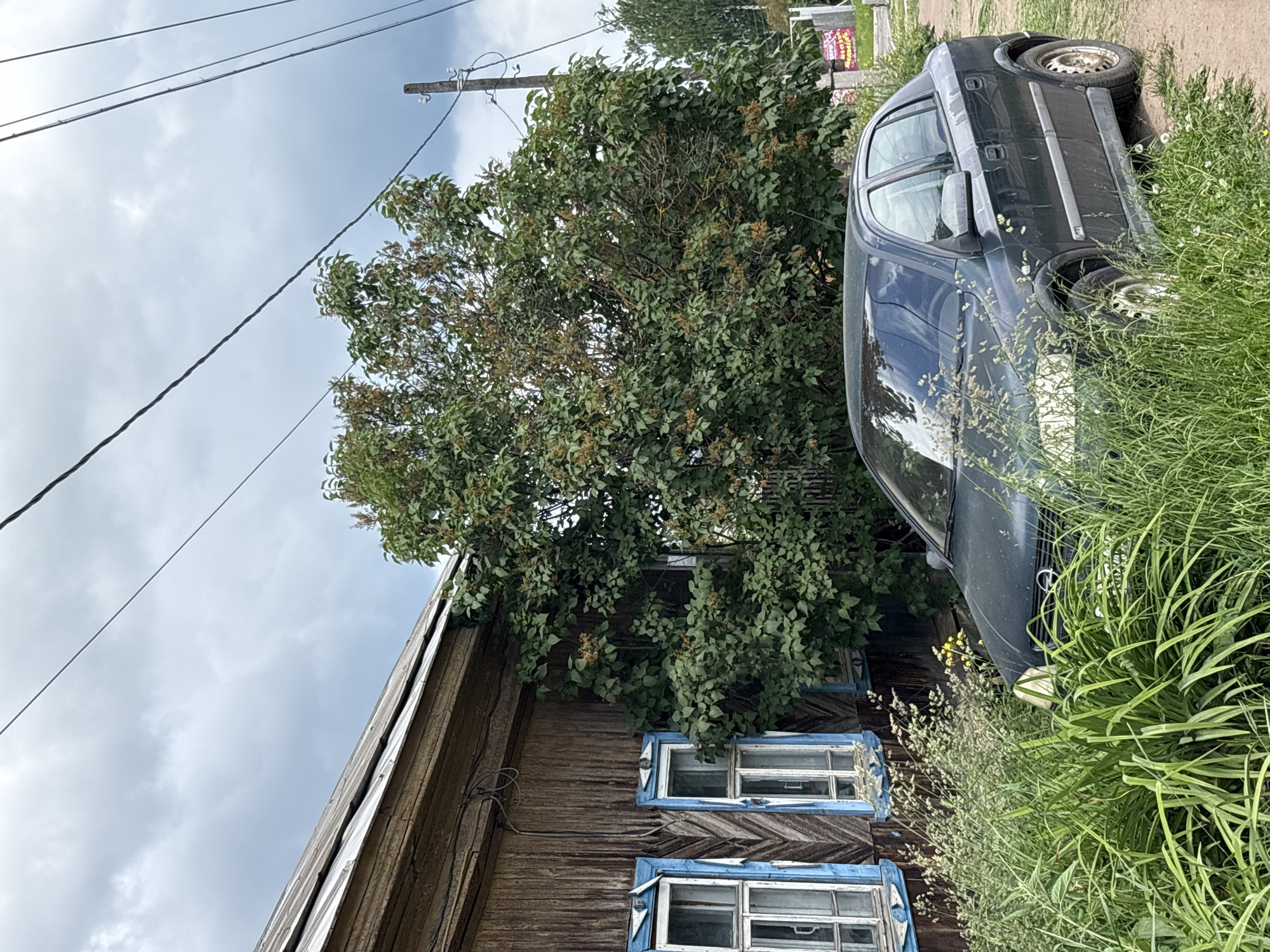 A dark sedan is parked on a dirt road next to a weathered wooden house in Kstynino, Russia. The car is partially obscured by tall, green grass. The house has blue-trimmed windows with ornate wooden detailing. A large, leafy tree grows between the house and the car. Overhead, power lines stretch across a cloudy sky. The scene suggests a rural or semi-rural setting.