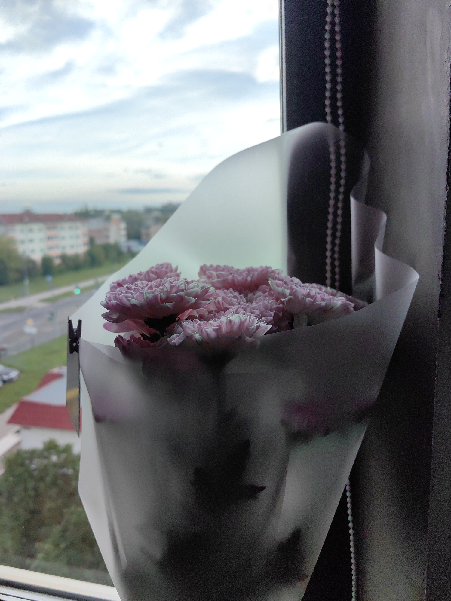 A close-up shot shows a bouquet of pink carnations wrapped in white paper. The bouquet is placed on a windowsill, with a blurred cityscape visible through the window. The cityscape includes buildings, trees, and a street with a traffic light. The sky above is cloudy. A beaded curtain or blind is visible on the right side of the image. The image was taken in Fanipal, Belarus.