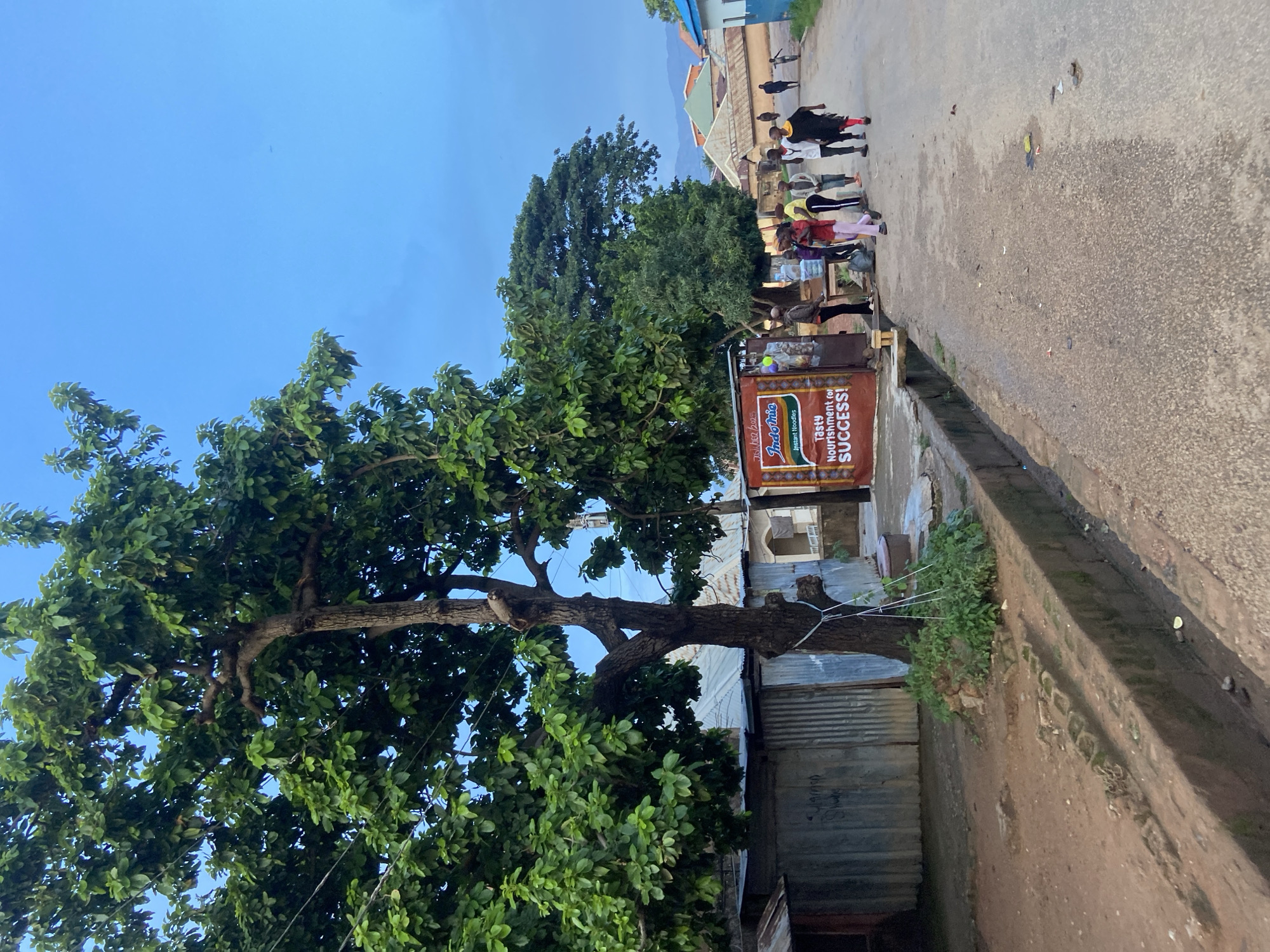 The image depicts a street scene in Jos, Nigeria, with a group of people gathered near a vendor's stall. A large tree with dense green foliage dominates the foreground, its branches extending towards the clear blue sky, suggesting it is daytime. The scene appears to be on a paved street, with a drainage ditch running along the side.
The people are dressed in casual clothing. Some appear to be children and young adults, possibly waiting to purchase items from the vendor. The vendor's stall is adorned with a prominent banner advertising "Indomie Instant Noodles," with text that reads "Tasty Nourishment for SUCCESS!" The stall itself seems to be a mobile cart or a small, makeshift structure. In the background, buildings with corrugated metal roofs and painted walls are visible, along with hints of hills or mountains in the distance. The overall atmosphere seems ordinary, with no strong indicators of a specific event beyond daily commerce. The lighting suggests it could be late morning or early afternoon.
