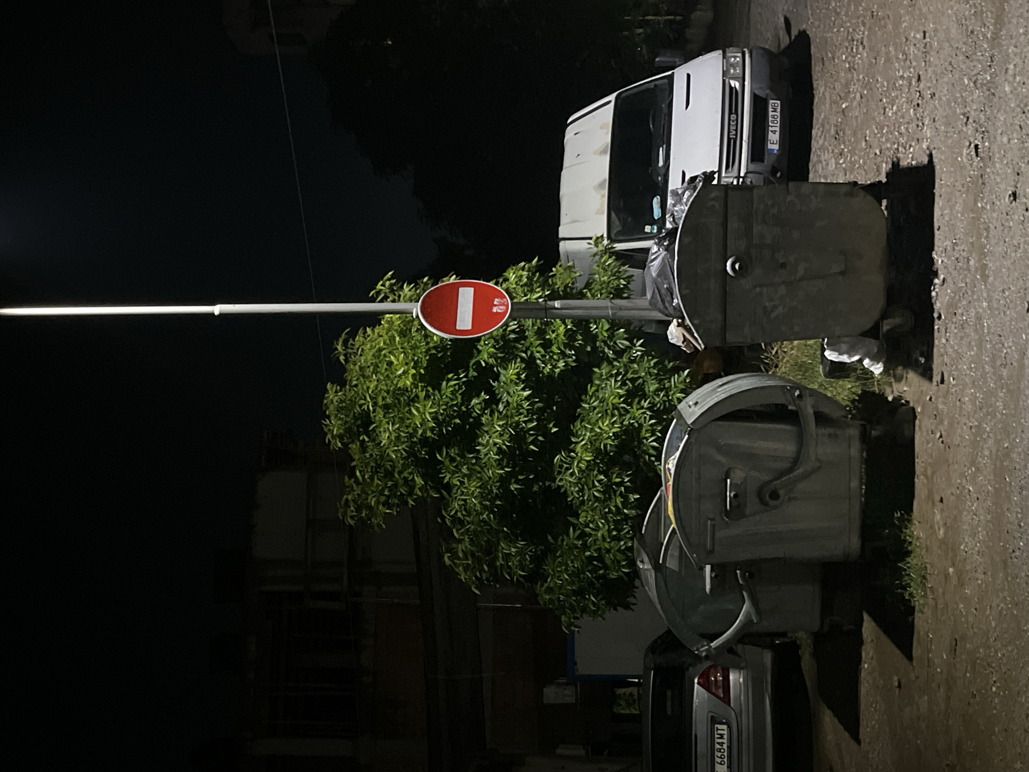 At night, the scene captures a street environment, possibly in Blagoevgrad, Bulgaria. There are two metal trash containers. A white van with license plate E 4188 MB, and a dark car with license plate B 6684 MT are parked nearby. A "do not enter" traffic sign is displayed on a pole next to a green leafy bush. A long horizontal light fixture is also present. The surroundings are mostly dark, with the ground appearing to be asphalt.