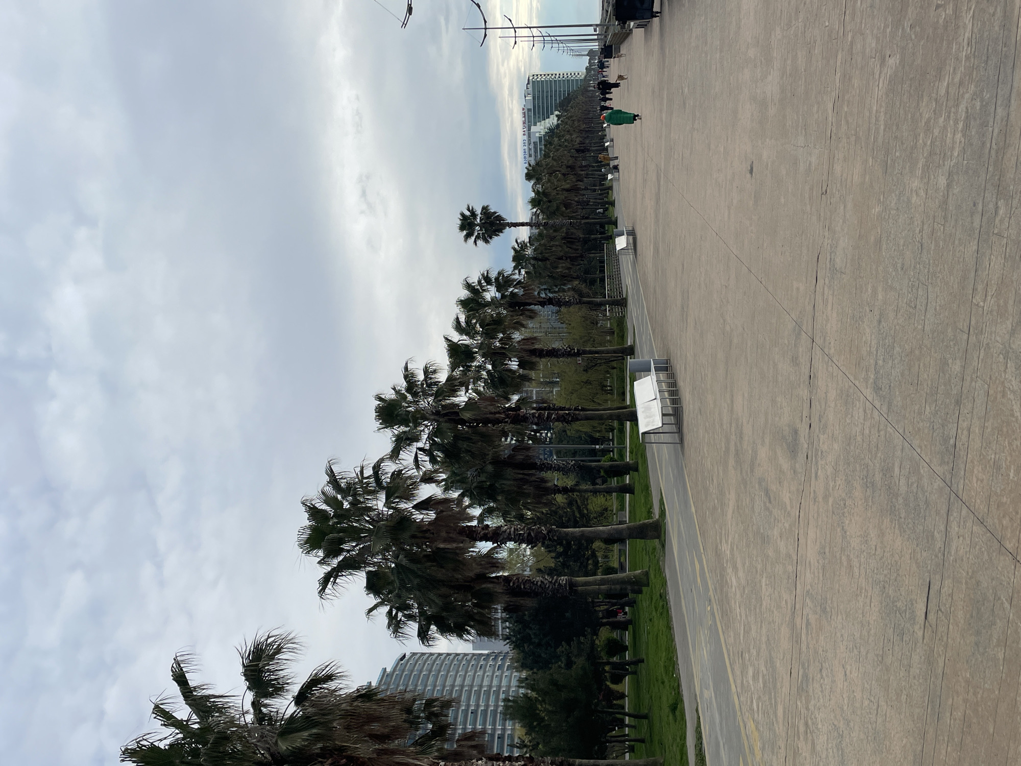 The scene captures a wide, paved promenade lined with palm trees, indicative of a coastal location, specifically Batumi, Georgia. Along the promenade, there are benches for seating. In the distance, buildings can be seen, giving a glimpse of the city's skyline. A few individuals are visible, one wearing a green coat. The sky is overcast.