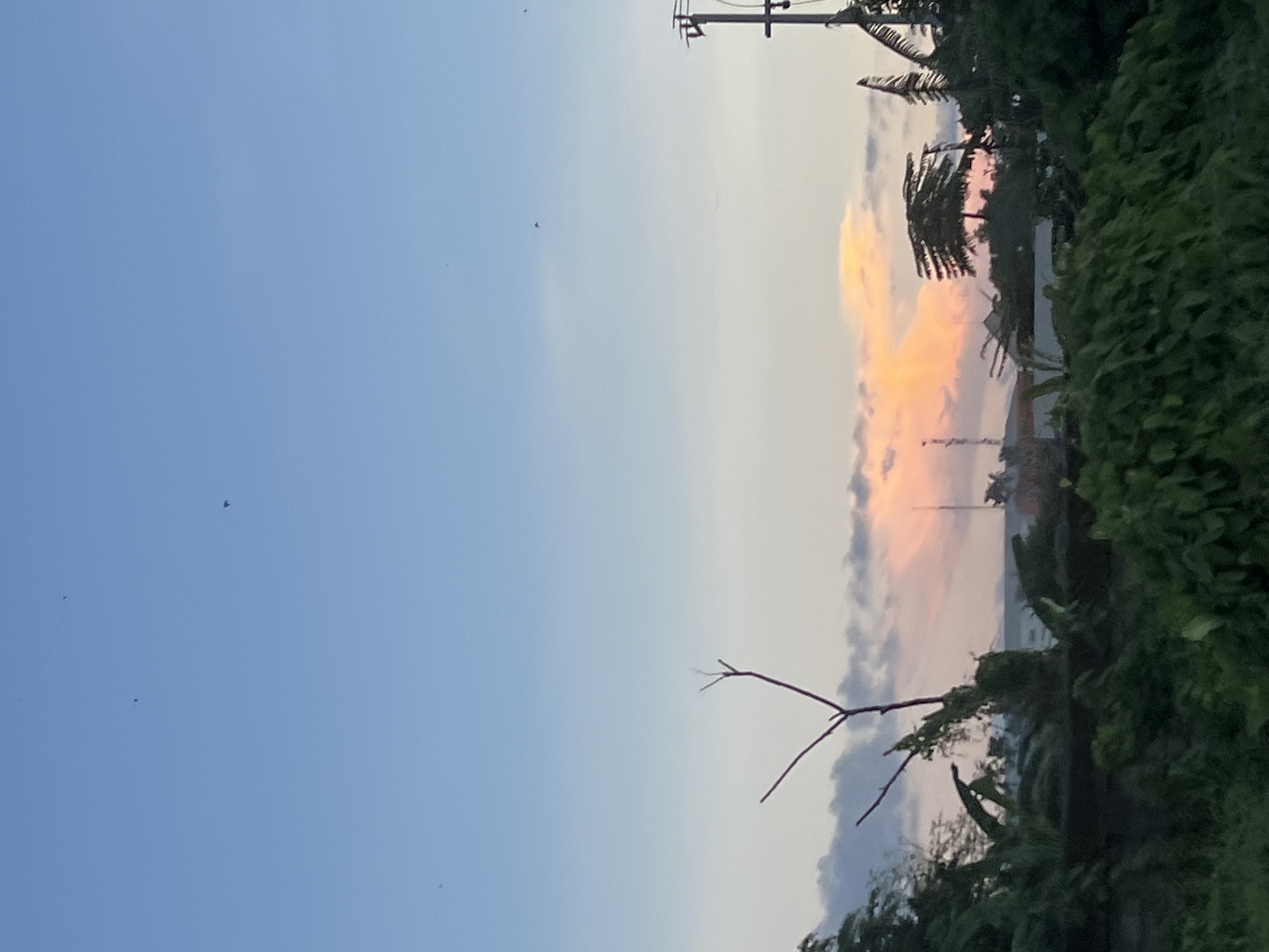 The image captures a serene landscape during either sunrise or sunset, characterized by a vibrant sky and lush tropical vegetation. The sky dominates the upper portion, featuring a clear, light blue that gradually transitions to softer hues of white and grey near the horizon. Along the horizon, prominent clouds are illuminated with warm, striking colors of orange, pink, and yellow, indicative of a low sun angle. Scattered across the blue sky are several tiny, dark specks, likely birds or insects.
The lower portion of the scene is filled with dense, dark green foliage and trees, suggesting a rich natural environment. Distinctive palm fronds are visible among the leafy growth, reinforcing the tropical setting. A bare, dark tree branch extends into the sky from the lower foreground, adding an organic element to the composition.
Man-made structures include a utility pole with wires visible against the sky in the upper right. Faintly discernible through the trees and clouds near the horizon are some distant building structures and what appears to be an antenna or tower. The overall impression is one of peaceful natural beauty at a transitional time of day, set in a tropical location like Denpasar, Indonesia. No visible text is present in the image.