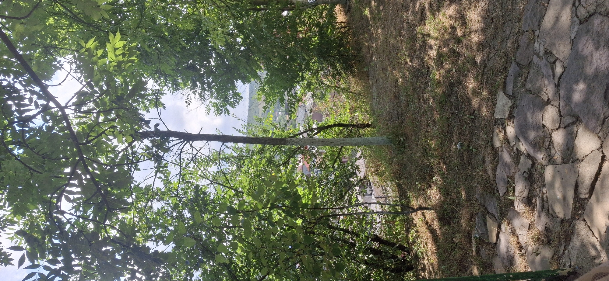 The image depicts a view from a slightly elevated position overlooking a settlement in Gusar, Azerbaijan. Lush green foliage from trees dominates the foreground and midground, with sunlight filtering through the leaves, casting dappled shadows on the ground. In the foreground, a pathway made of irregular stone slabs is visible. Beyond the trees, the roofs and structures of houses are discernible, suggesting a rural or semi-urban environment. The background shows rolling hills that fade into the distance under a partly cloudy sky. There are no people or overt actions visible in the frame. The scene is one of natural greenery interspersed with human habitation.