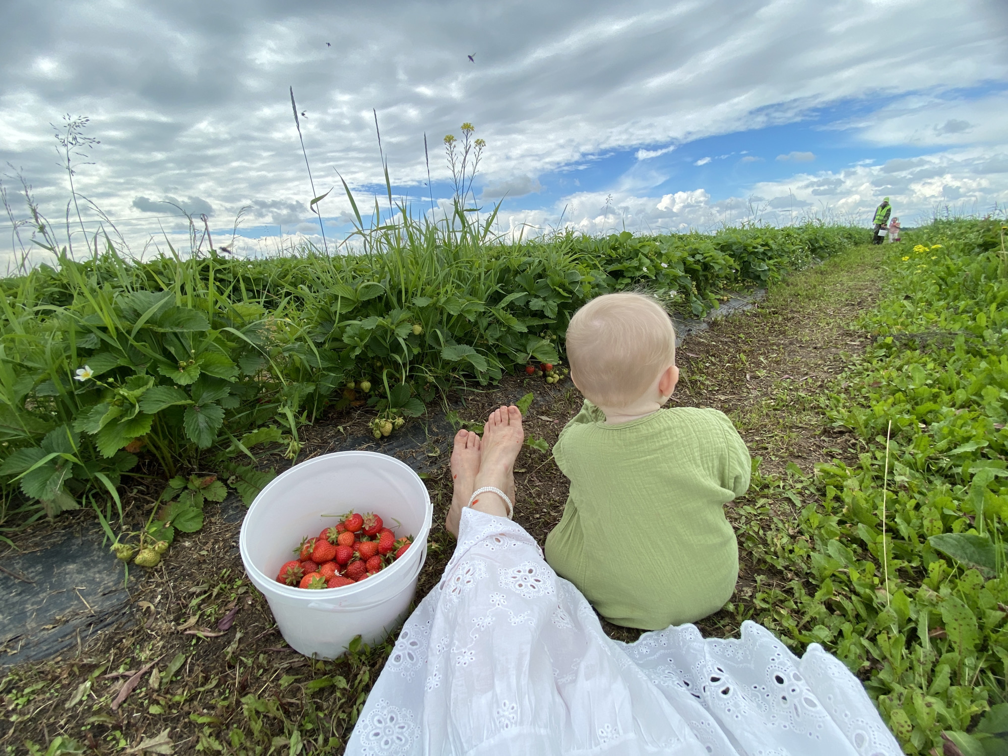 This media file depicts a scene at a strawberry field in Foteni, Russia. The image is taken from a low angle, focusing on a person's legs and feet wearing a white, eyelet-trimmed dress, and a baby sitting beside them, wearing a light green muslin shirt. In the foreground, a white bucket is filled with freshly picked strawberries. The background shows rows of lush green strawberry plants extending into the distance, with a dirt path running through the field. The sky is filled with dramatic, cloudy formations interspersed with patches of blue sky, suggesting a partly cloudy day. In the far distance, two figures are visible, one wearing a bright green vest, presumably also picking strawberries. The overall impression is one of a peaceful, outdoor family activity on a slightly overcast day.