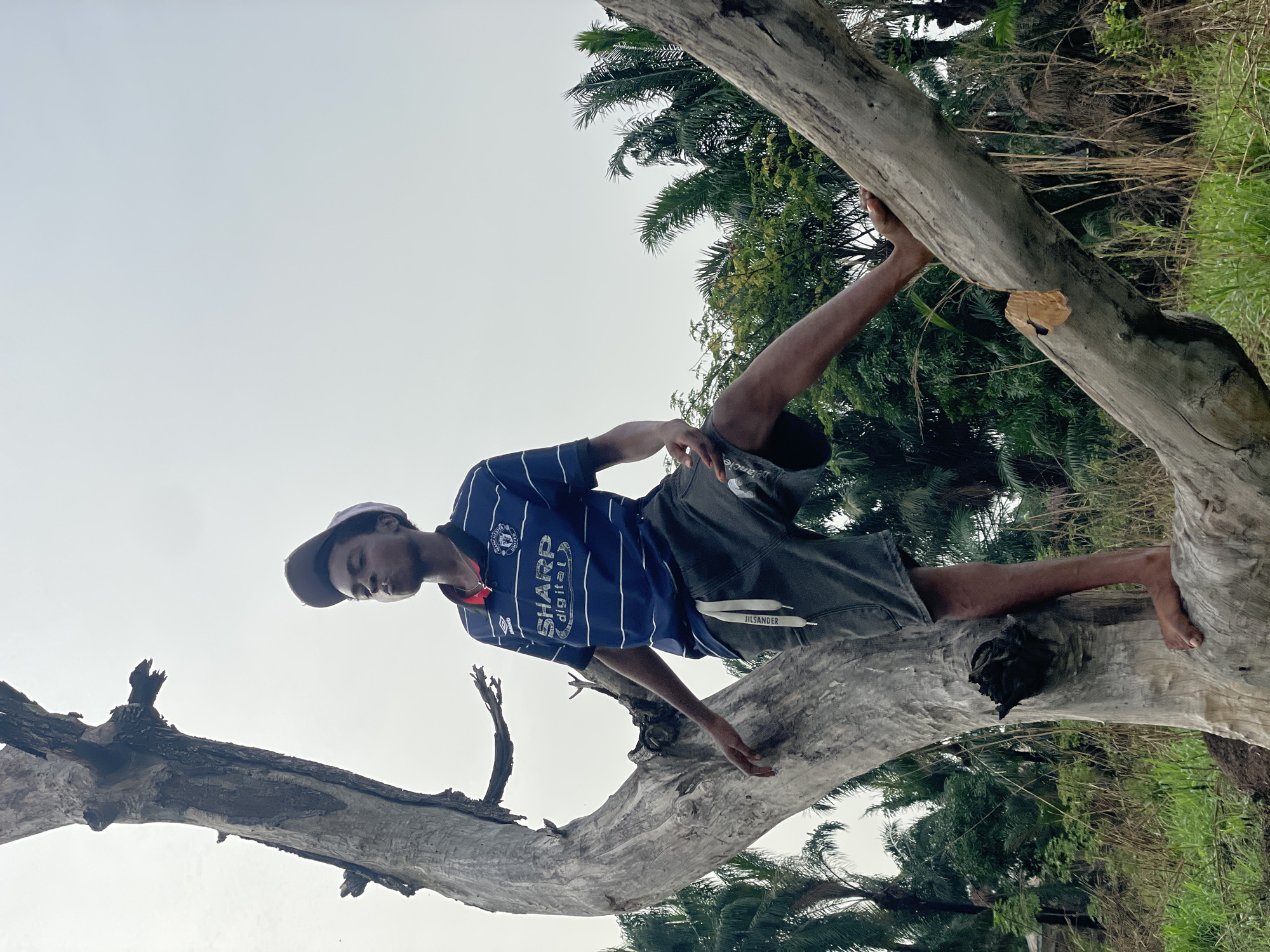 A person is lying horizontally on a large, fallen tree in Agba Umana, Nigeria. The person is wearing a blue and white striped shirt, gray shorts, and a baseball cap. Their bare right foot is resting on the tree trunk. The tree is positioned in a natural environment with other trees and vegetation visible in the background. The sky is overcast.