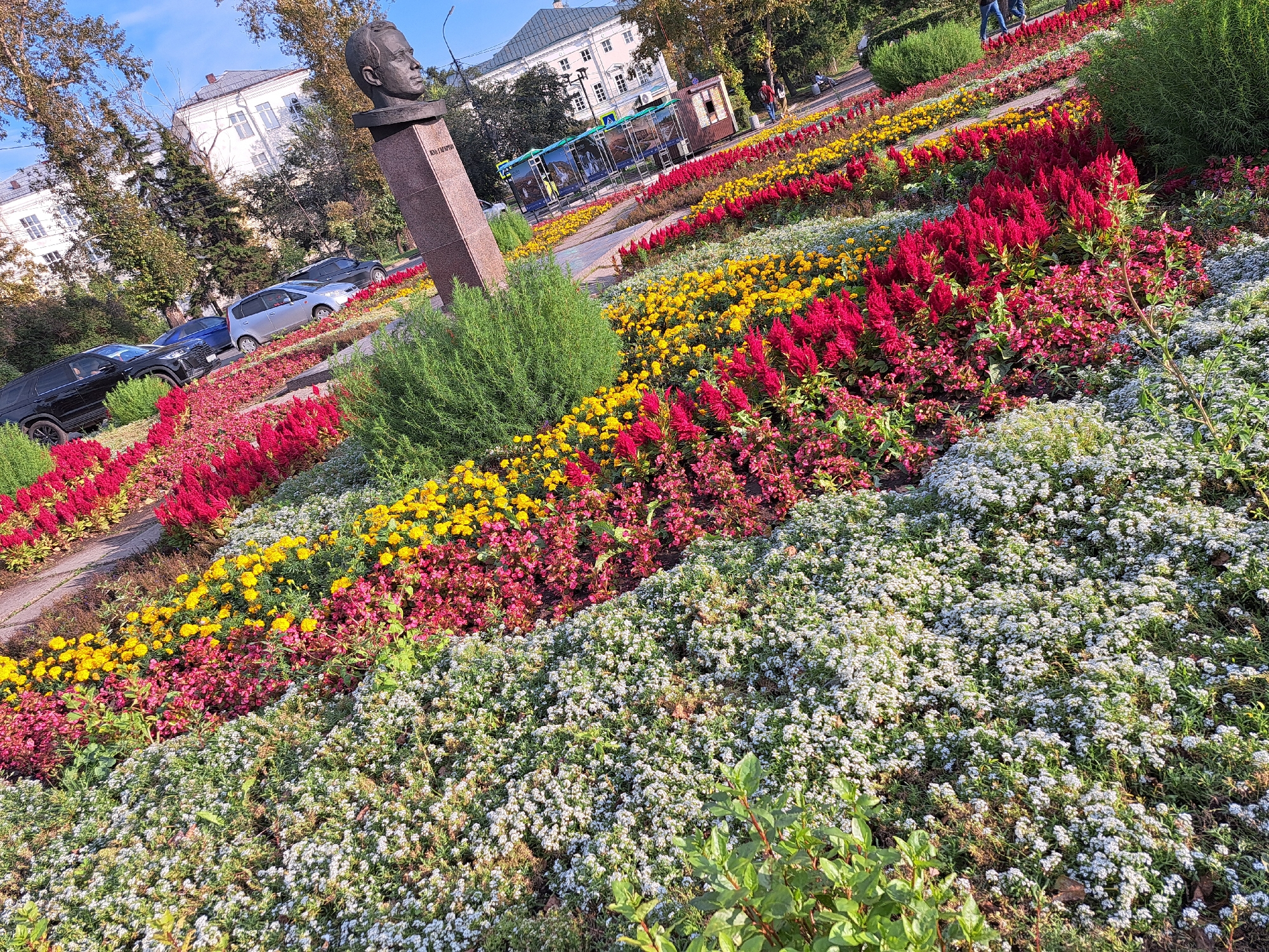 The image shows a meticulously landscaped flower bed in a city park in Irkutsk, Russia, featuring a tiered arrangement of colorful flowers, including red celosia, yellow marigolds, and white alyssum. A bronze bust of a man, likely a prominent figure, is positioned on a granite pedestal, overlooking the floral display. Several cars are parked on a street bordering the park. In the background, a white building with classical architectural elements and trees can be seen. The sky is clear and blue, suggesting a pleasant day. The scene is likely a public space, such as a square or a park dedicated to a historical figure.