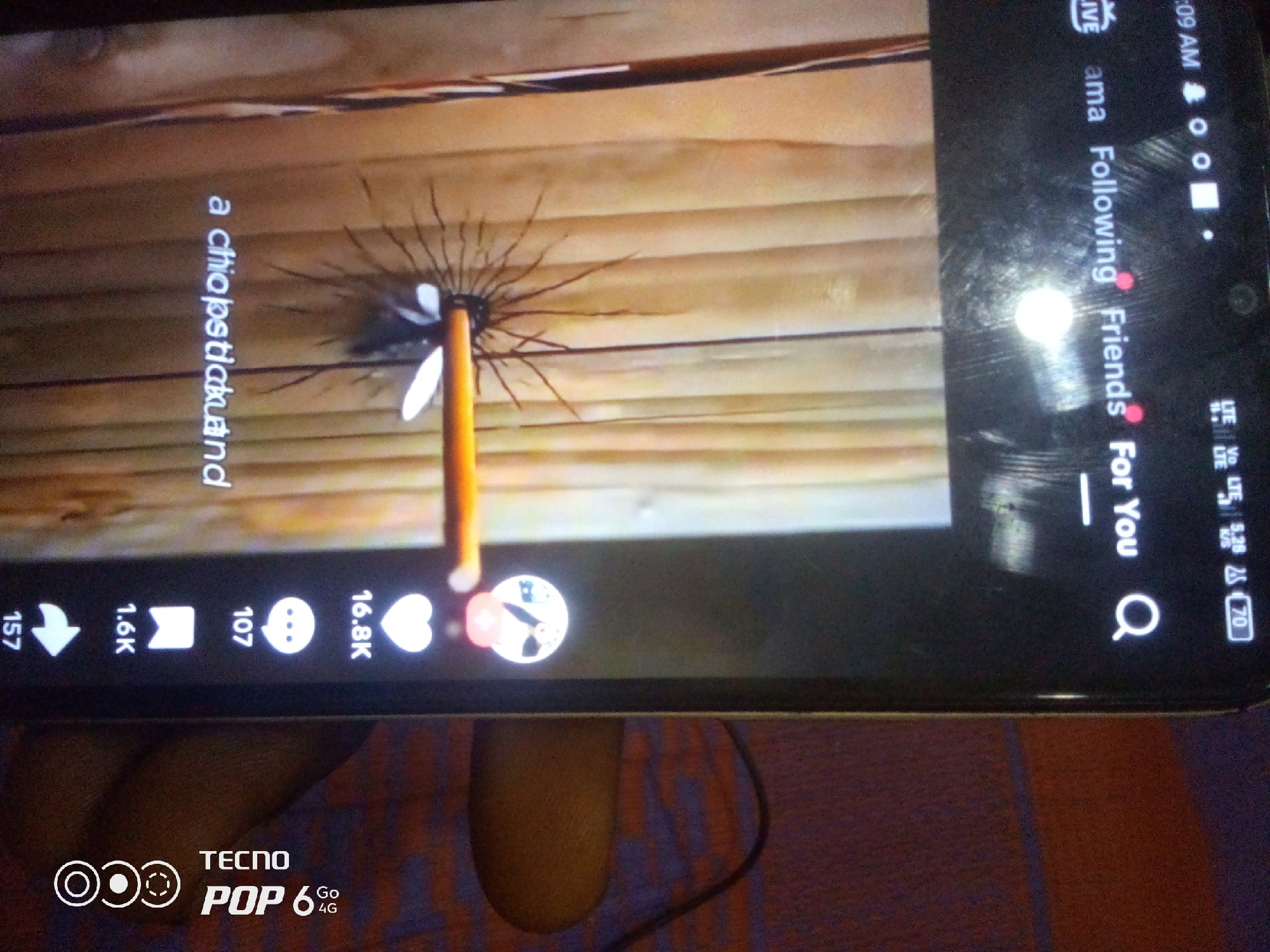 The image shows a close-up of a smartphone screen displaying a video. The video appears to be a close-up shot of an insect with numerous thin legs or appendages radiating from its body, perched on a wooden surface. Text overlayed on the video reads "a chijipstlakuanud". On the right side of the screen, there are interface elements indicating a live stream with the text "LIVE", "ama", "Following", "Friends", and "For You". Below these, there is a search icon. At the bottom of the screen, there are icons representing shares, likes, comments, and other engagement metrics. The bottom left corner of the phone shows the branding "TECNO POP 6 4G". The image is too tightly cropped to provide any details about the location in the city of Howayi, Nigeria.