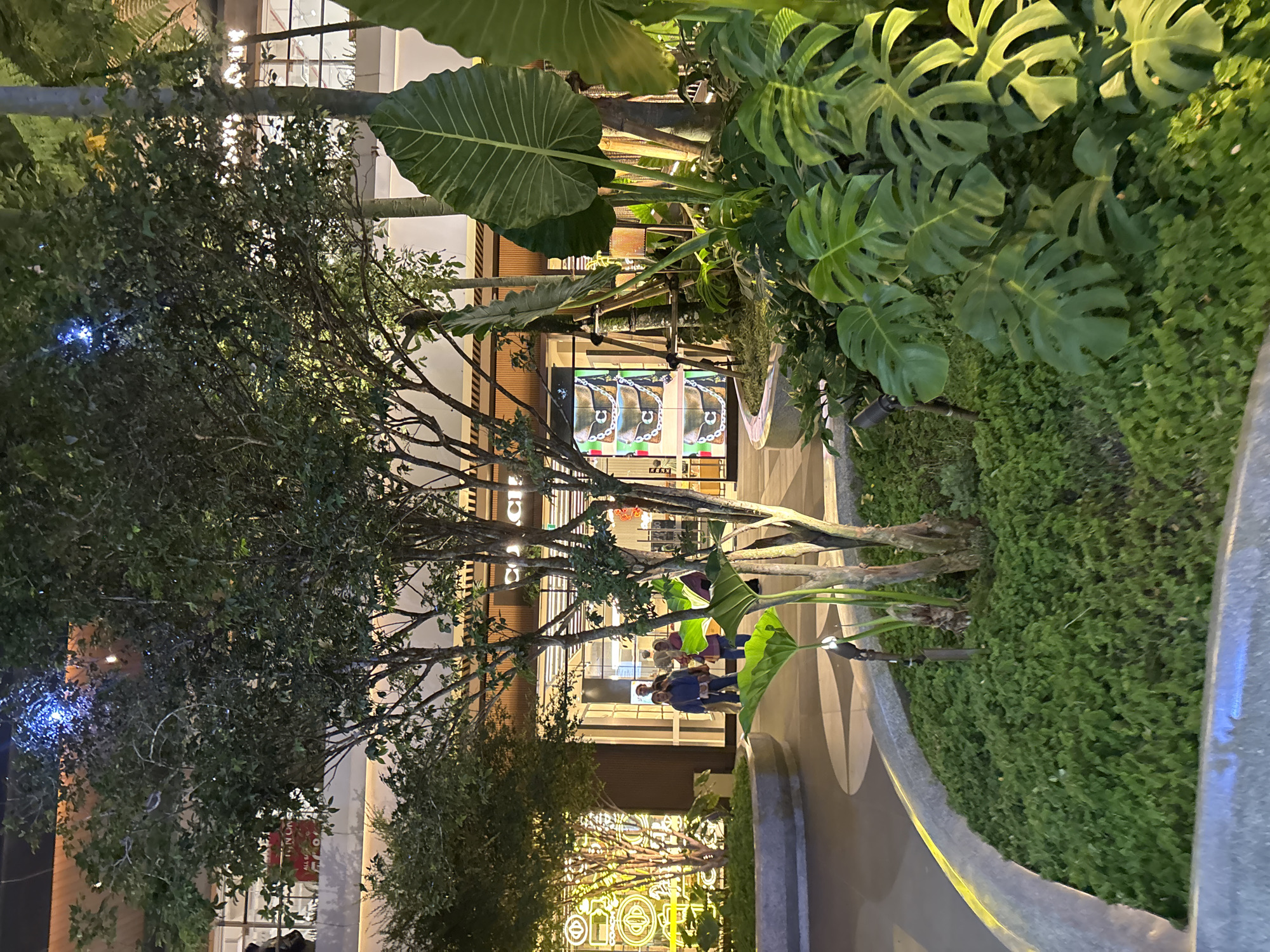 The image shows an outdoor scene in Tangerang, Indonesia. A paved walkway with a curved edge lined with dense green vegetation leads towards a building. The building has large glass windows and is brightly lit. Trees with thin branches and green leaves frame the view, obscuring part of the building. In the foreground, there are large Monstera leaves and other tropical plants. Two people are walking toward the building on the walkway. A large display screen is visible within the building's interior. Decorative lights are seen through another tree.