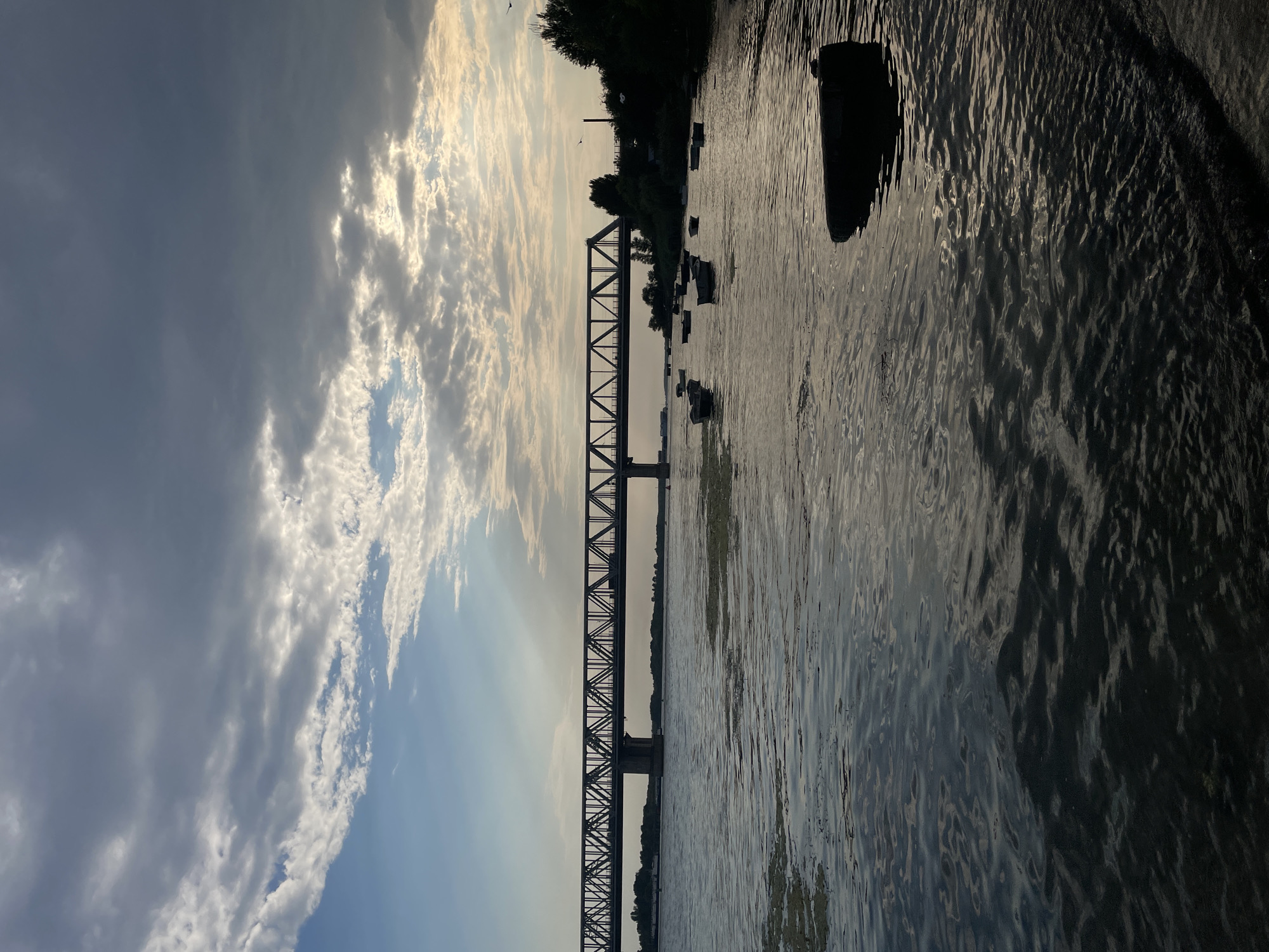 The image depicts a river scene in Rostov-on-Don, Russia, under a cloudy sky. A long, dark metal truss bridge, likely a railway bridge, spans across the wide river. The bridge supports appear to be concrete piers. The water's surface is rippled, with some patches of algae or debris visible, particularly in the foreground and mid-ground. Several small, dark boats are moored or adrift on the water, scattered across the river. On the right bank, a line of trees is visible, silhouetted against the sky. The lighting suggests it is either early morning or late evening, with the sun partially obscured by clouds, casting a muted light. The overall atmosphere is calm and somewhat serene. There are no people visible in the image.