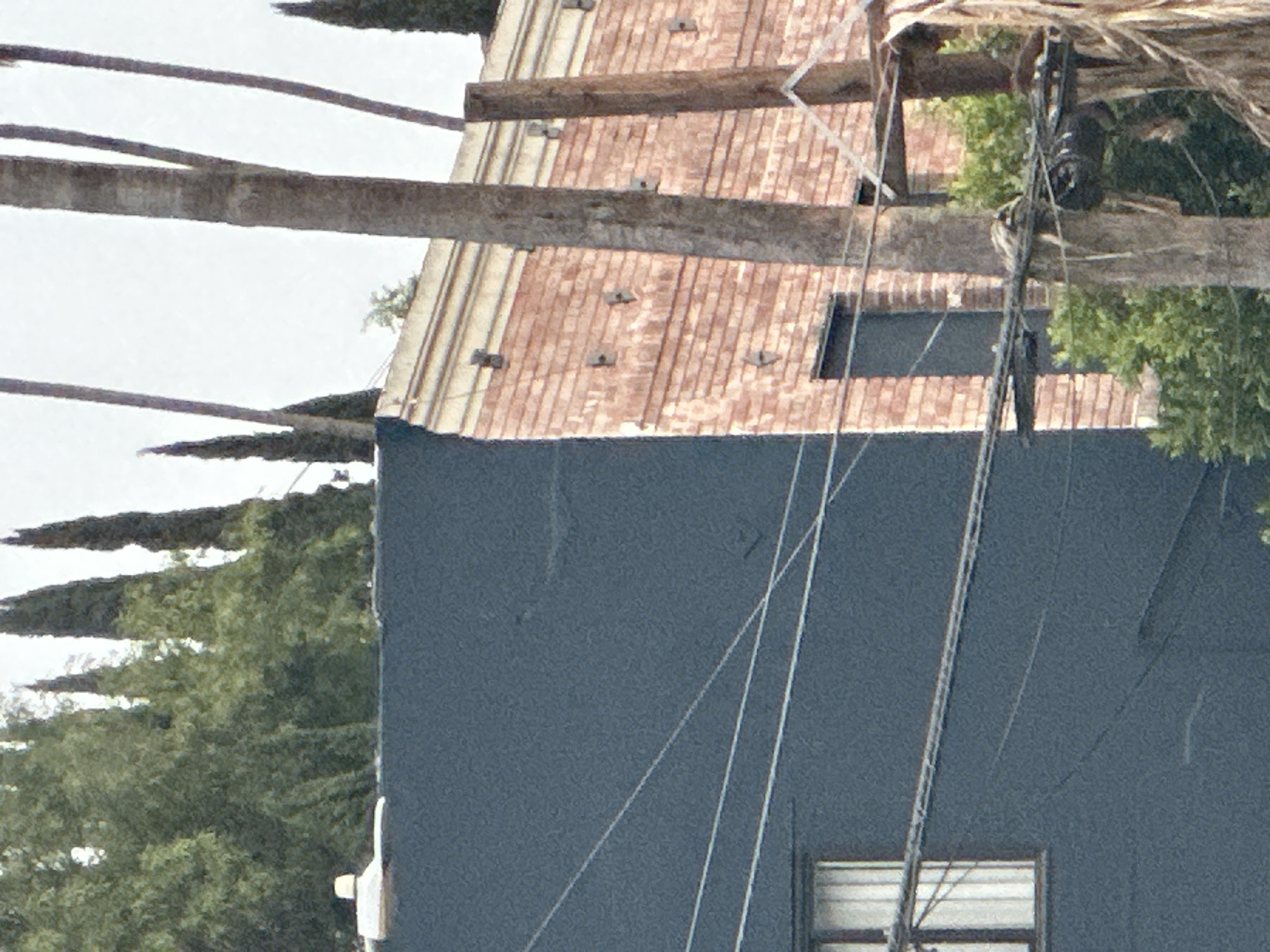 The image shows a building in Los Angeles, California. The building has a brick facade and a dark blue wall. There are trees and power lines in the foreground. The sky is overcast.