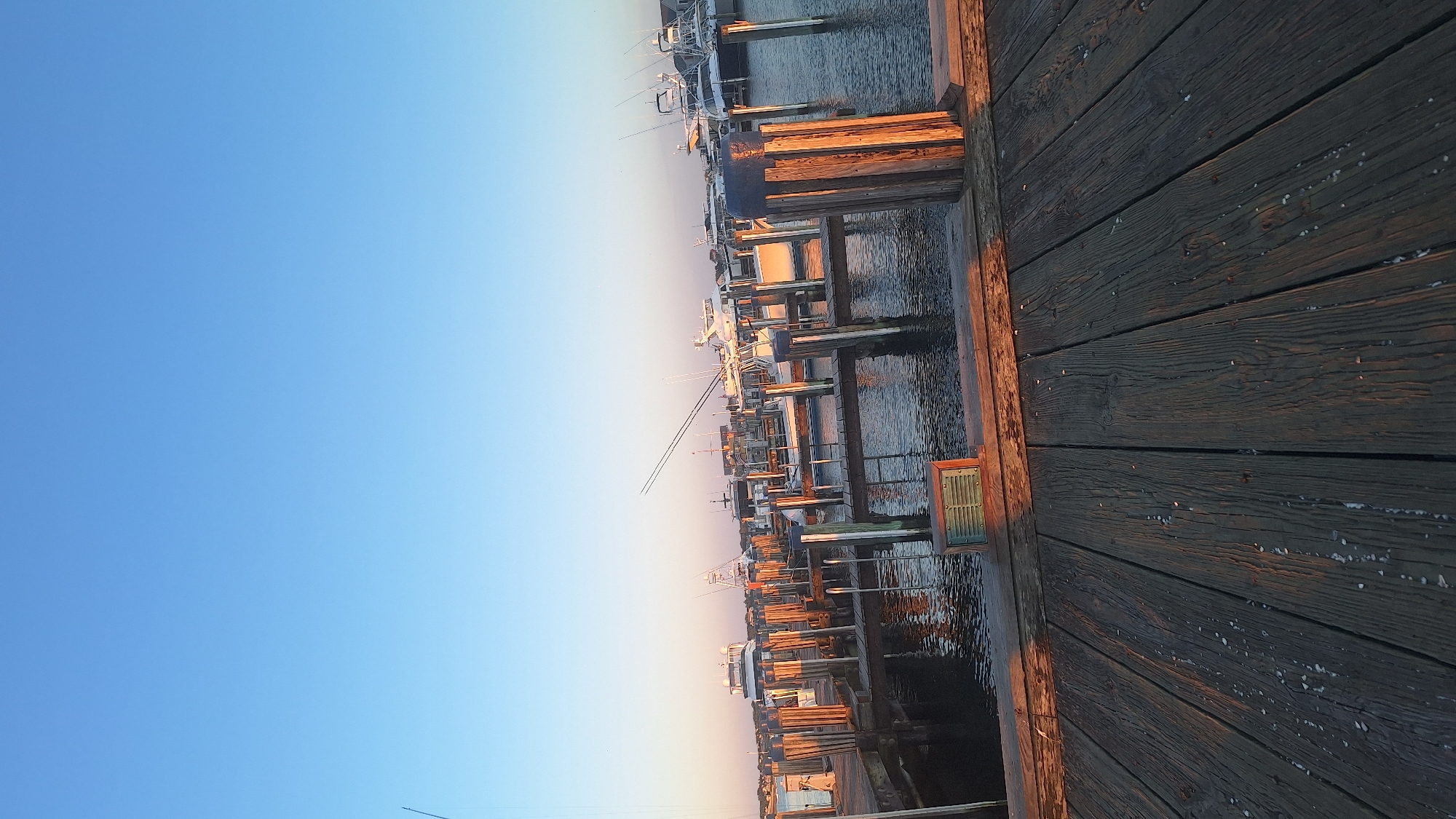 An exterior, eye-level, vertical medium shot captures a harbor scene on Nantucket, Massachusetts, USA, during the late afternoon or early evening. The image is dominated by a clear blue sky that transitions to a lighter hue near the horizon. In the foreground, a weathered wooden boardwalk runs diagonally from the bottom left to the top right corner, showing distinct grain patterns and scattered white debris. Beyond the boardwalk, a marina is visible, filled with docked boats of various sizes. Wooden pilings and walkways crisscross the water. The boats are primarily white with white railings and masts, some equipped with fishing gear. The water reflects the sky and the wooden structures, appearing dark and calm. The lighting suggests a sunset, casting a warm glow on the wooden elements. No people are present in the frame.