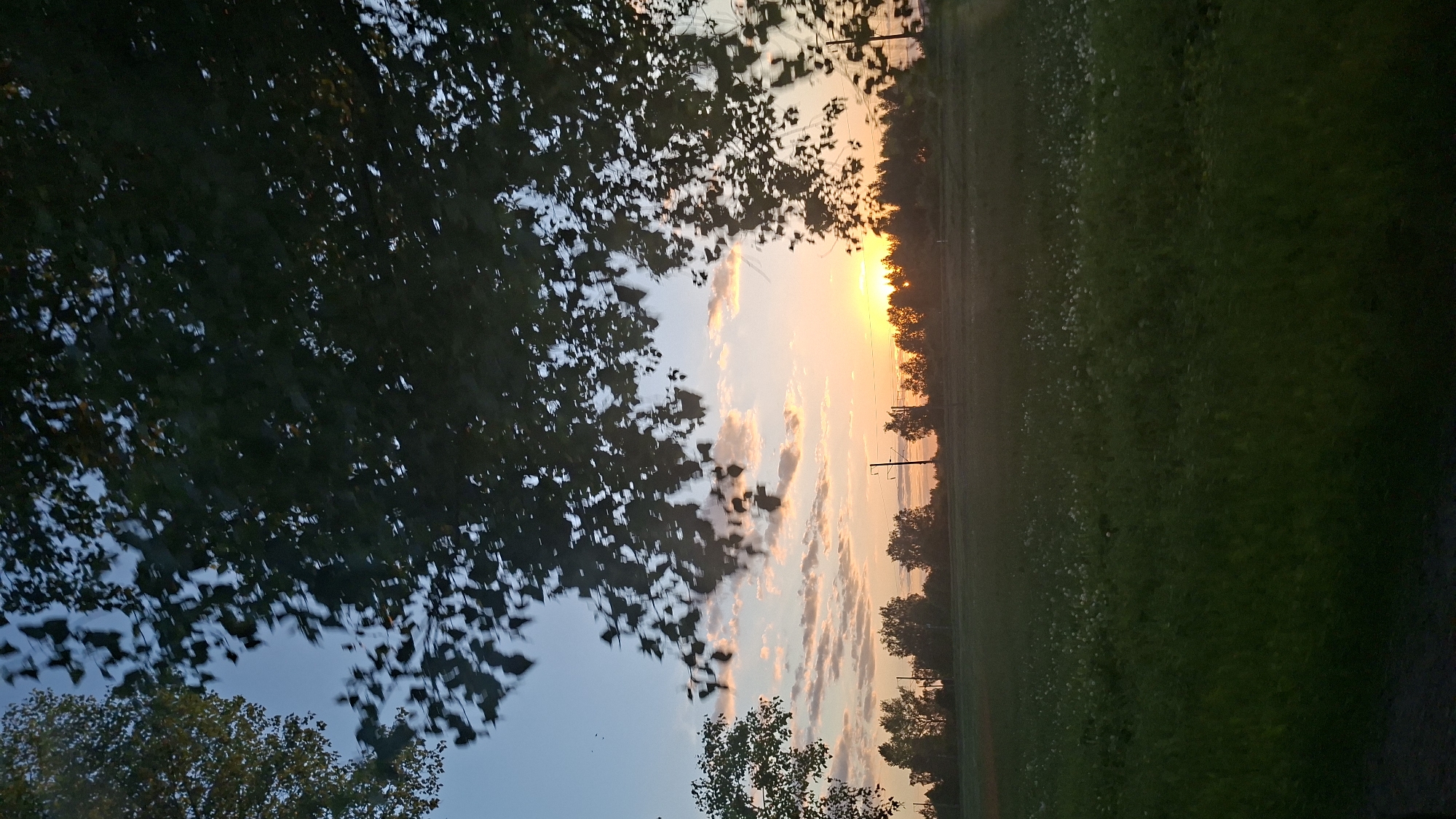 The image captures a serene natural landscape during either sunrise or sunset, likely in a rural area like Забалоцкі сельскі Савет, Belarus. The sky is a dominant feature, transitioning from a clear pale blue on the left to vibrant orange and yellow hues near the sun, which is partially visible on the far right horizon. Scattered, elongated clouds are illuminated by the warm light, appearing in shades of pink, orange, and white.
In the foreground, large tree branches and foliage are heavily silhouetted against the lighter sky, occupying the upper left and central portions of the frame. These dark forms create a stark contrast with the brightly lit background. Along the right horizon, a line of smaller trees also appears as dark silhouettes, defining the edge between the sky and the land. Several slender, dark utility poles are visible interspersed along this tree line, especially near the bright sun.
The lower half of the image shows a wide expanse of green grass, resembling a field or meadow, with lighter patches that could be wildflowers or dried vegetation, particularly in the mid-distance. The overall lighting is soft and dramatic, characteristic of the 'golden hour', conveying a peaceful and tranquil atmosphere. No discernible text is visible in the image.