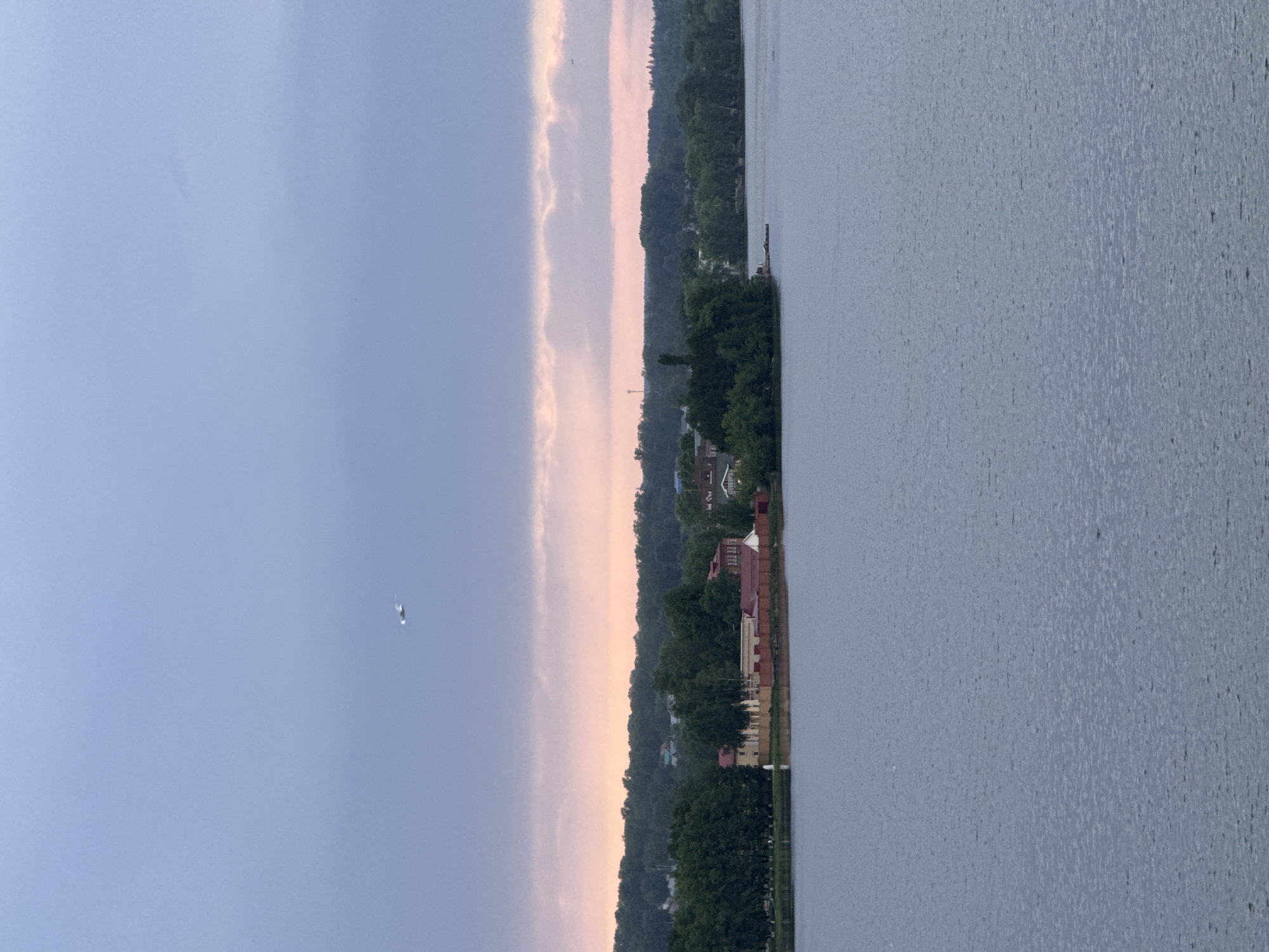 The image shows a body of water, possibly the Votkinsk Reservoir, adjacent to a shoreline with dense trees and buildings. A town, likely a section of Votkinsk, is visible among the trees. The sky features a blend of blue and pinkish hues, suggesting either sunrise or sunset. A small object, potentially a bird, is visible in the sky. The image is rotated 90 degrees counterclockwise.