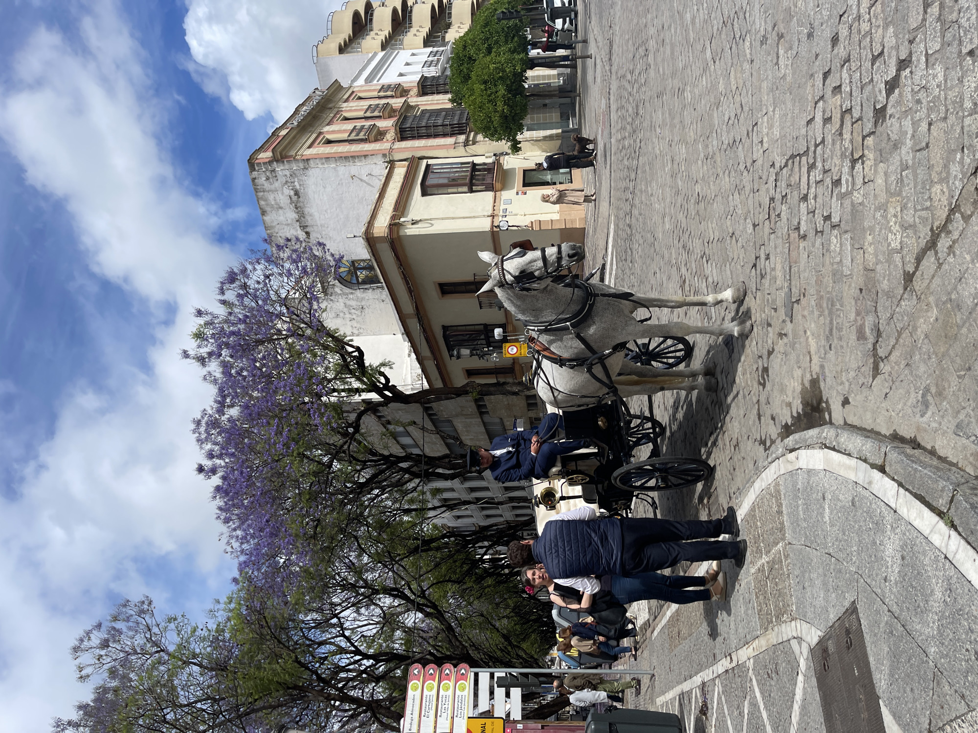The image captures a street scene in Jerez De La Frontera, Spain. A horse-drawn carriage with a grey horse stands in the foreground, its driver sitting upright. Several pedestrians are nearby, including a couple standing close to the carriage. The street is paved with cobblestones. A large tree with purple flowers adds a splash of color. In the background, buildings of varying heights and architectural styles form the cityscape. The sky is partly cloudy.
