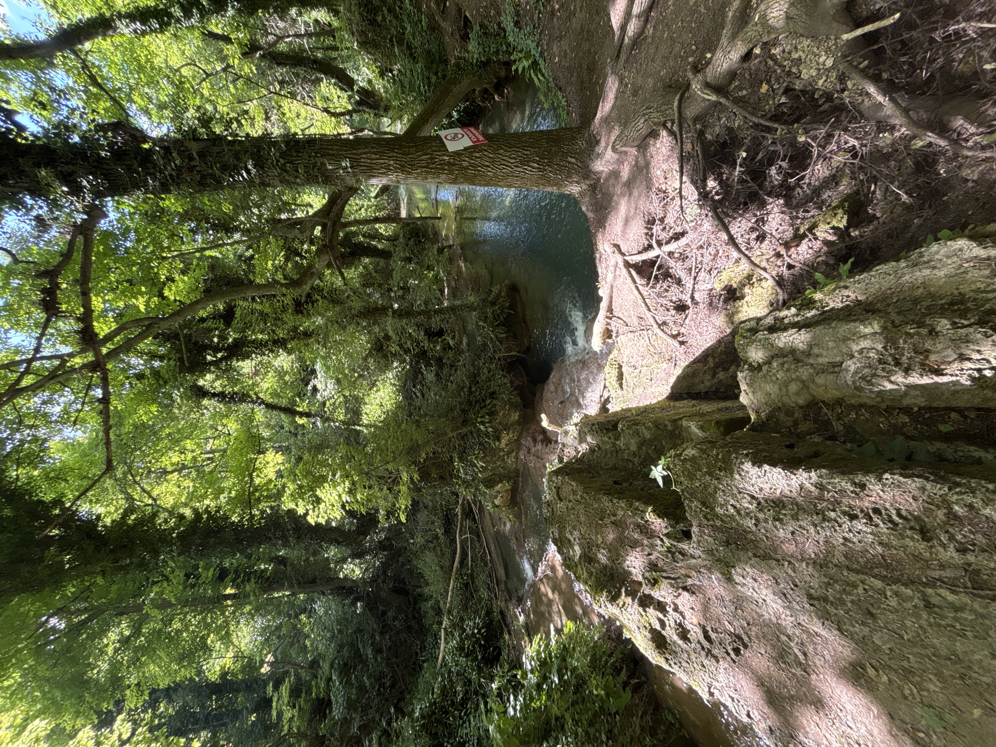 The image depicts the Krushuna waterfalls in Krushuna, Bulgaria. The scene is a lush, green forest with a clear, blue stream flowing through it. Large, moss-covered rocks are prominent in the foreground, with the stream cascading over some of them. Trees with dense foliage form a canopy overhead, allowing dappled sunlight to filter through. The water appears shallow in some areas and deeper in others, with visible ripples and small waves indicating movement. On the right side of the image, a tree trunk has a sign attached to it with red lettering and a crossed-out symbol. The overall impression is one of a serene, natural environment.
