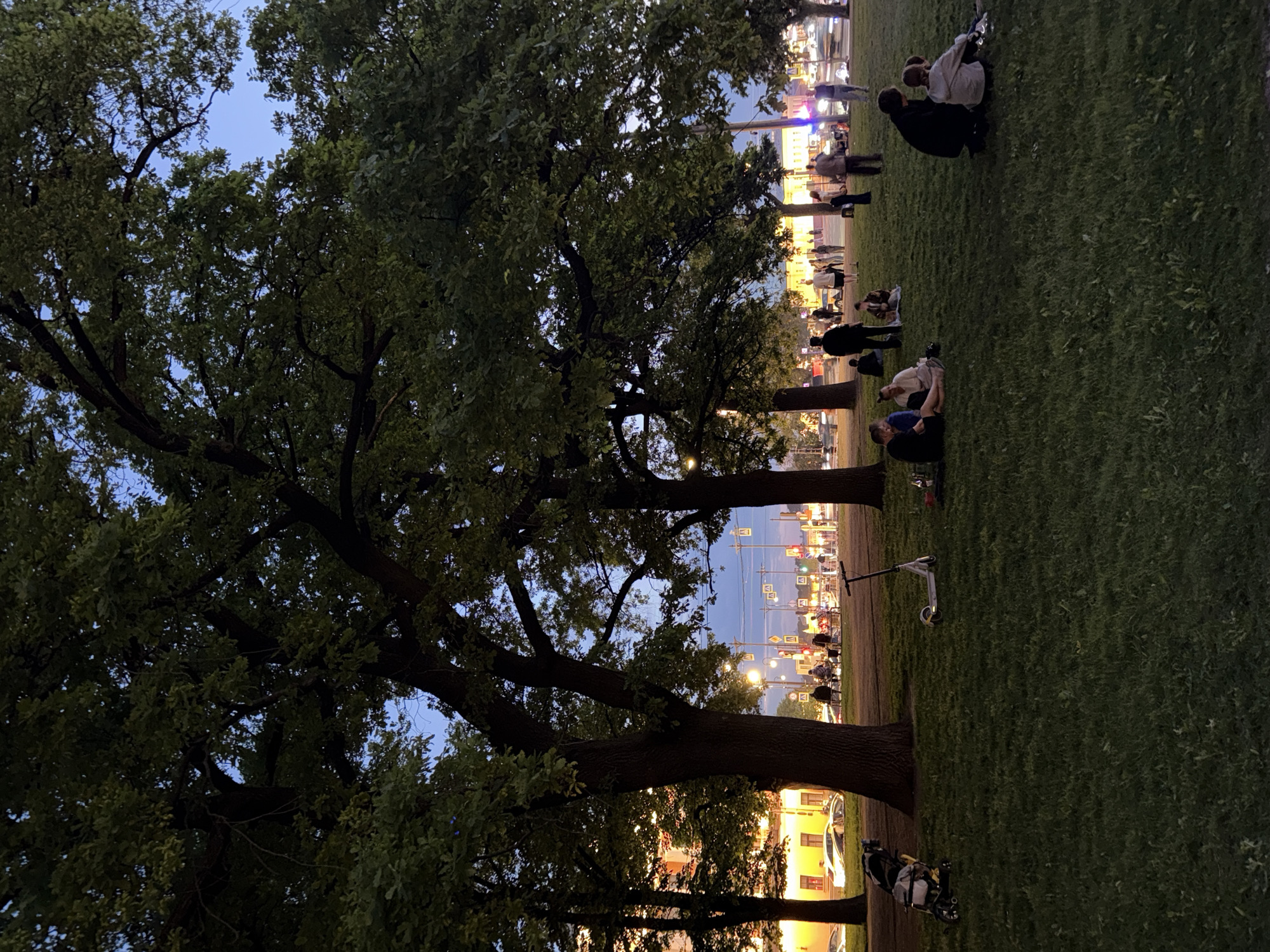 The image depicts an evening scene in a park in Saint Petersburg, Russia, at twilight. Large, dark trees with dense green foliage dominate the left side and foreground, their branches silhouetted against a deep blue sky. Patches of the clear sky are visible through the tree canopy.
The foreground and middle ground consist of a wide expanse of green grass where several individuals and small groups of people are relaxing. Many are seated or lounging on the grass, some facing towards the background activity. In the upper right of the grassy area, a couple is seated close together. Further down, another group of three is visible, and other people are scattered across the lawn. A white scooter is parked on the grass in the mid-right, and a bicycle is partly visible in the lower right corner, near a tree trunk.
Beyond the park, a city street is brightly illuminated by numerous streetlights and lights from buildings. Silhouettes of more people can be seen walking or standing along the street in the background. Cars are also visible on the street, and several traffic signs line the roadside, though no specific text is discernible. The buildings lining the street glow with a warm light, suggesting commercial or residential structures. The overall atmosphere appears calm and social, with people enjoying the urban park during the fading light of evening.