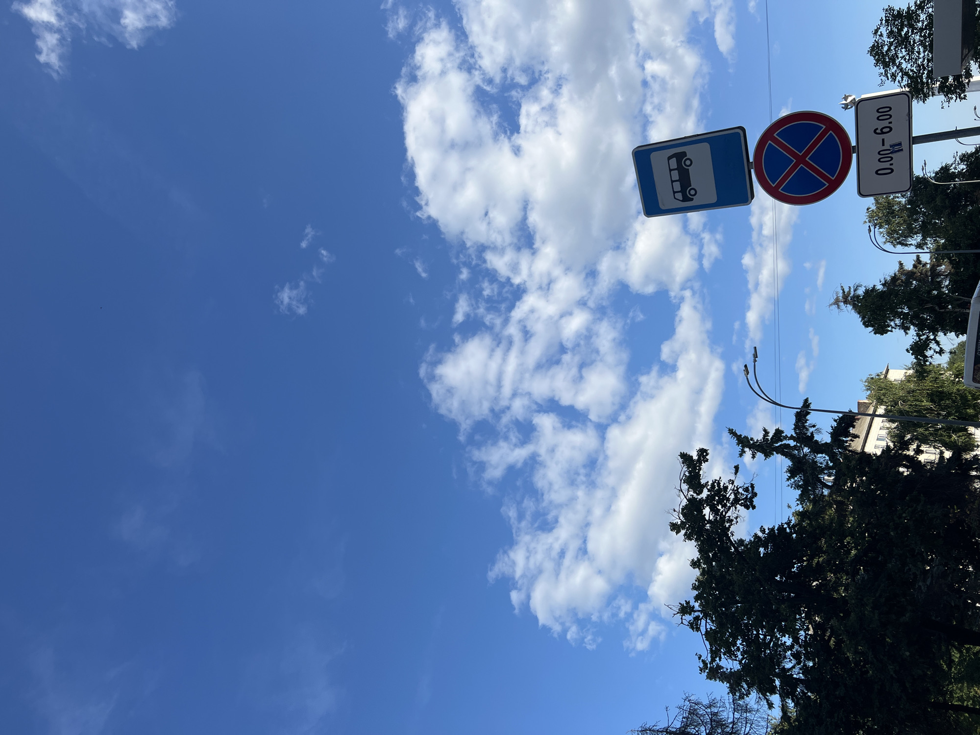A street scene in Ulyanovsk, Russia, features a bright blue sky with scattered white clouds. In the foreground, a collection of traffic signs is mounted on a pole. The top sign is a blue rectangle with a white outline of a bus, indicating a bus stop. Below it is a red and blue circular sign with a red "X" and a red border, signifying "no stopping." The bottom sign is a white rectangle with black text that reads "0.00 - 6.00," likely denoting a time restriction for parking or stopping. To the left, dark green trees, including a tall coniferous tree, partially obscure a building with multiple windows. Streetlights are visible in the background. The image is taken from a low angle, looking upwards towards the sky and signs.