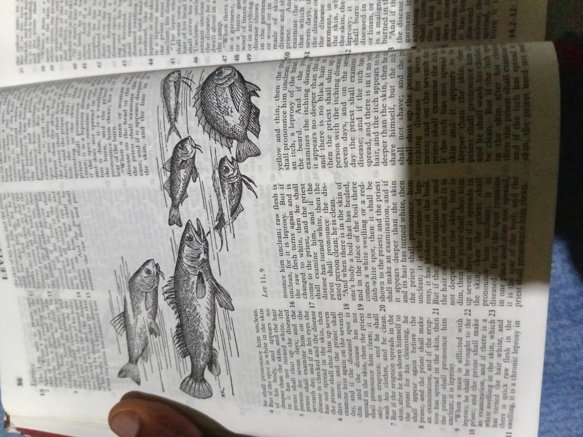 The image is a close-up, slightly angled photograph of an open book, likely a Bible, featuring text and illustrations. The text is in English and appears to be from the book of Leviticus, specifically concerning leprosy. The illustrations depict various types of fish. A person's hand, with visible fingernails, is visible in the lower left corner, obscuring a small portion of the page. The lighting suggests an indoor setting, possibly natural light from a window. The exact location of Nkpor, Nigeria, is not identifiable from the image itself; it's a detail provided by the prompt.