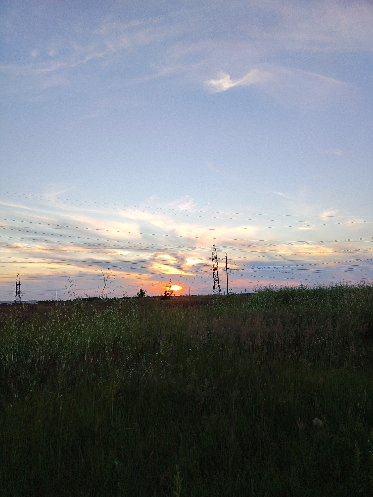 The image depicts a rural landscape at sunset, with a sky characterized by pale blue hues and wispy clouds tinged with orange and yellow near the horizon. In the middle ground, a field of tall, dry grass and wildflowers stretches towards a line of distant trees and power lines. Two large electricity pylons are visible, one on the left and another on the right, supporting multiple high-voltage wires that traverse the scene horizontally. The sun, a bright orange orb, is setting behind a small tree on the right side of the frame, casting a warm glow. The foreground is dominated by dark, lush green grass, suggesting a dense meadow or field. The overall impression is one of a tranquil evening in a rural setting, possibly on the outskirts of a town like Крутые Выселки, Russia, given the presence of power infrastructure. There are no people or animals visible in the image.