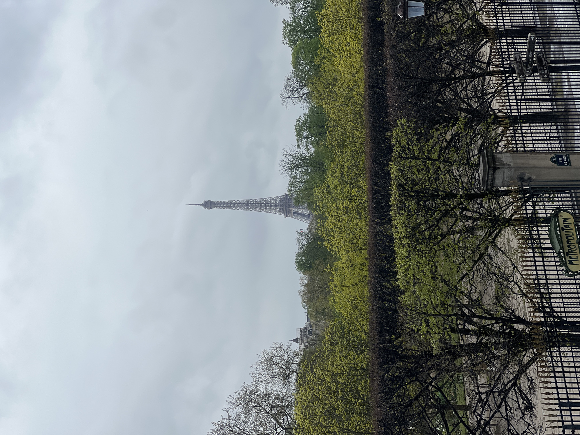The image displays an urban landscape in Paris, France, on an overcast day. The Eiffel Tower is prominently featured in the background, its lattice structure visible against a light gray, cloudy sky, rising above a dense band of trees with bright green spring foliage. To the left of the Eiffel Tower, the upper sections and rooftops of several distant Parisian buildings are discernible through the bare branches of trees.
The mid-ground is dominated by a deep green, manicured hedge running horizontally across the frame, with more trees exhibiting varying degrees of foliage above and behind it. The foreground is defined by a black wrought-iron fence topped with golden spiked finials, indicating an entrance or boundary to a park or garden. Behind the fence, the ground appears damp, suggesting recent rain.
Key identifying objects are present: A stone pillar on the left features a black sign with white text reading "RUE DE RIVOLI." A distinctive green and black "MÉTROPOLITAIN" sign, characteristic of the Paris Metro, is affixed to the lower left portion of the fence. To the right, a multi-directional street sign indicates "PALAIS ROYAL," "Eglise St ROCH," and "Musée des Arts Décoratifs." A traditional Parisian streetlamp with a light-colored lantern top is visible on the far right. No individuals are present in the scene.
