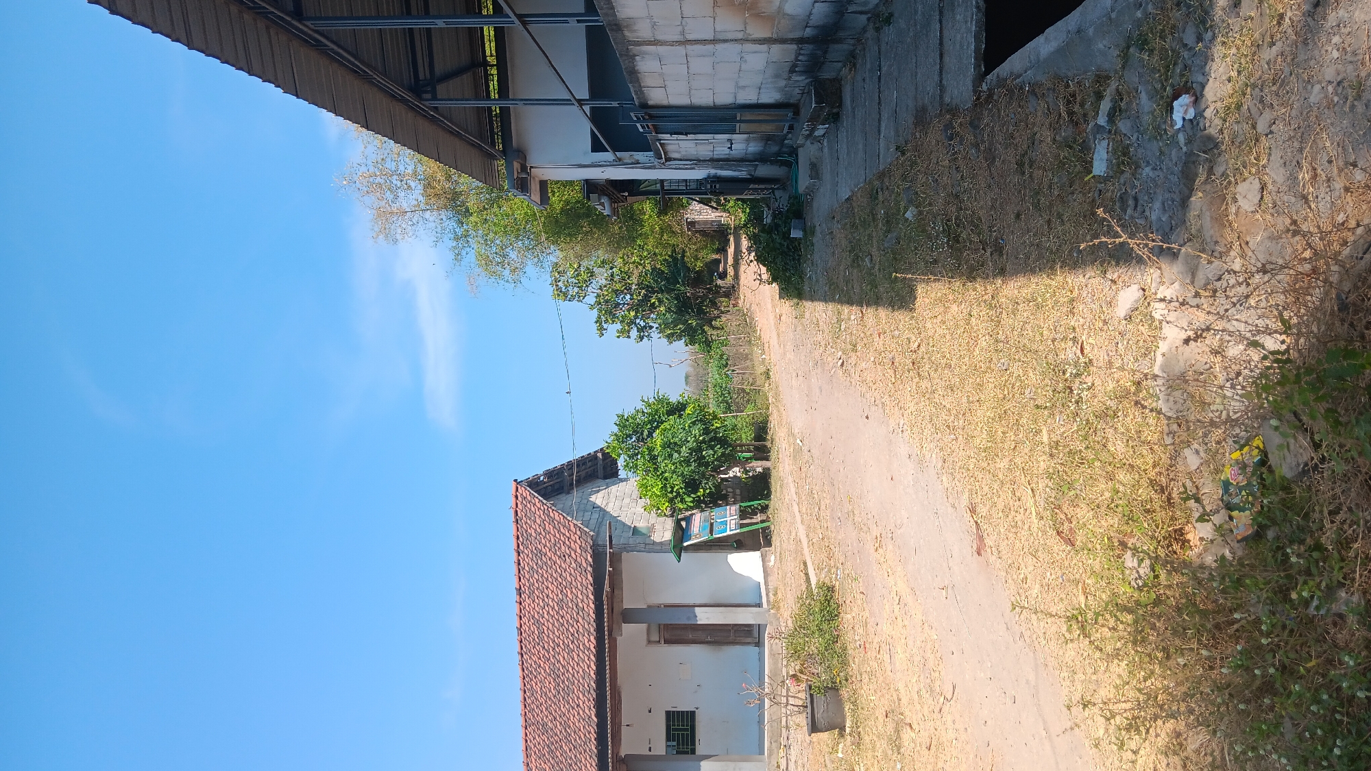 The image depicts a dirt road in Gemenggeng, Indonesia, flanked by buildings and vegetation under a clear blue sky. On the left side of the road, there is a single-story building with a red-tiled roof and white walls. A planter with dry plants is situated in front of the building. To the right of this building, a green sign with a blue border stands near some green trees. Further down the road, on the right side of the image, is another building with a gray concrete wall and a corrugated metal roof supported by metal poles. A paved walkway runs alongside this building. The road is unpaved and appears dry and dusty, with patches of dry grass and sparse vegetation growing on the sides. The background shows more trees and foliage, suggesting a rural or semi-rural setting. Sunlight casts a shadow from the building on the right across the road and the vegetation. There are no people visible in the image.