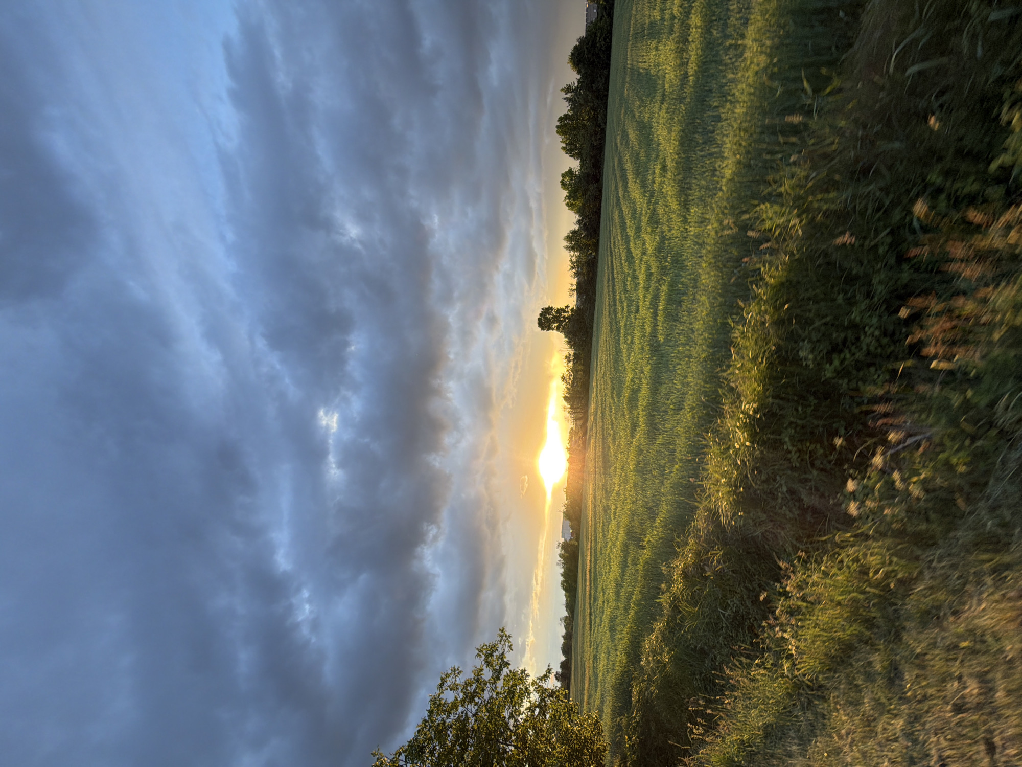 The image depicts a field at sunrise or sunset in Bonirola, Italy. A green field extends to the right, with rows of crops visible. A line of trees is present in the middle ground. The sky to the left is filled with dark, ominous clouds contrasting with the bright sunlight breaking through the clouds and over the field. A bush or tree is visible in the lower left corner.