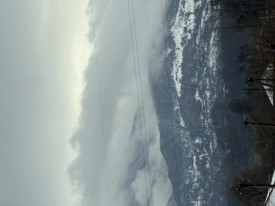 The image presents a panoramic winter landscape depicting the mountainous surroundings of Terjola, Georgia. The sky is overcast with a dense, light grey cloud cover, and lower clouds partially obscure the upper sections of the background mountains. The mountains are extensively covered in snow, with dark clusters of evergreen trees visible across their slopes. In the mid-ground, a sprawling settlement, indicative of a town or large village, is situated on the lower hills, featuring numerous structures with varied rooftops nestled among bare deciduous trees and some visible greenery. Multiple parallel utility lines traverse horizontally across the mid-section of the frame. The immediate foreground contains dark, leafless tree branches, several utility poles, and segments of snow-dusted rooftops. No individuals, specific actions, or interactions are discernible. The scene is illuminated by diffused light, consistent with an overcast winter day.