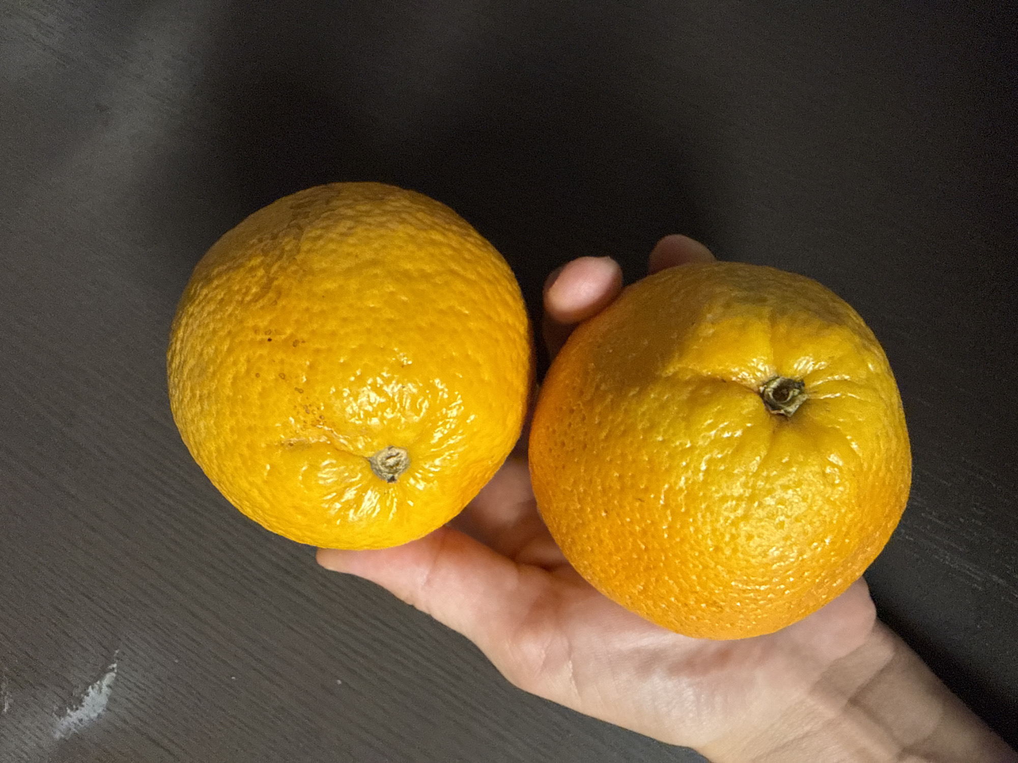 Two ripe oranges are held in a person's left hand against a dark, textured surface that appears to be a table or countertop. The oranges are a vibrant yellow-orange color, with slightly dimpled skin. The top orange is positioned slightly above and to the right of the bottom orange. The background surface has faint diagonal lines, suggesting a wood grain or similar texture. There are no discernible urban elements to place this scene within Puig-reig, Spain; the image solely depicts a close-up of fruit and a hand.