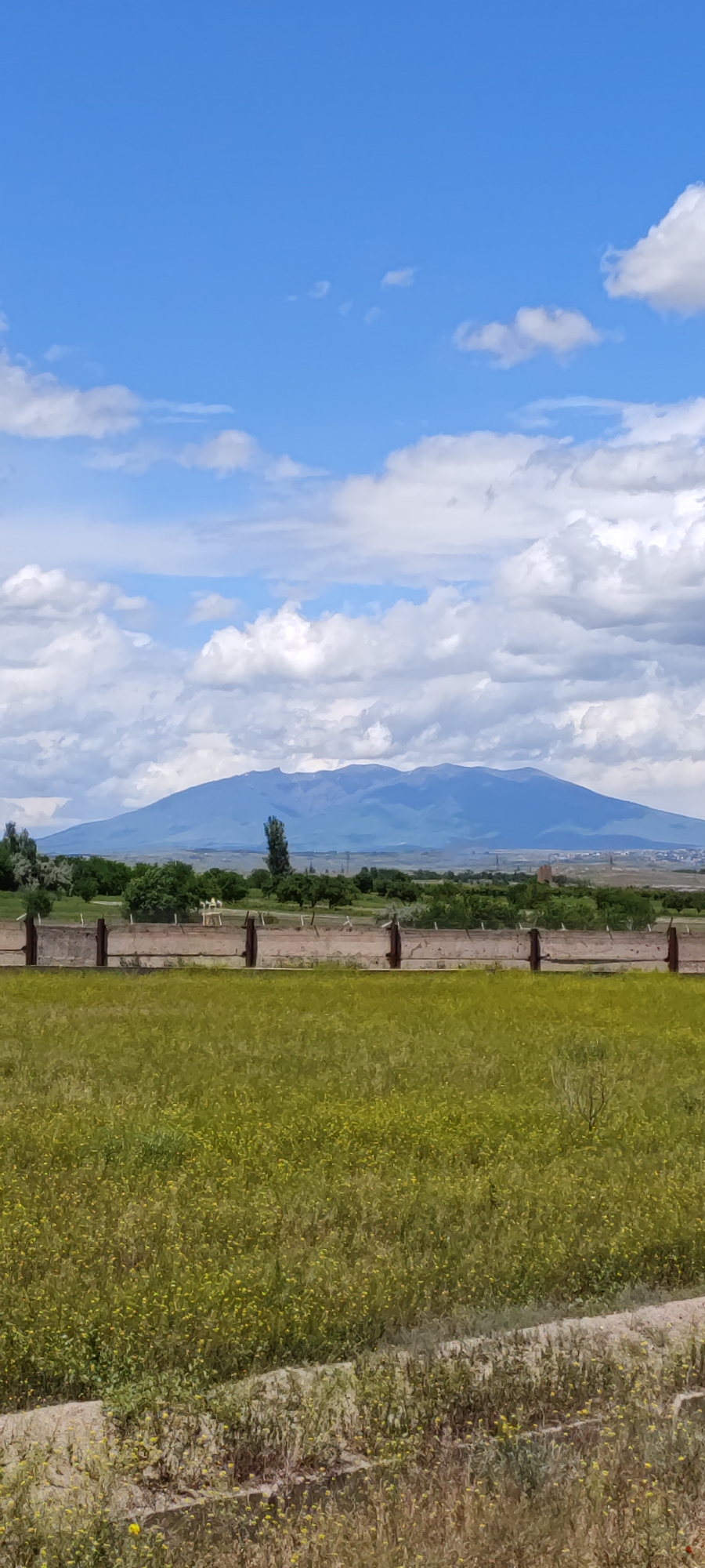A landscape photograph taken in Arevashat, Armenia depicts a mountain range in the distance under a partly cloudy sky. The foreground features a field of tall, yellow-green grass. A low, concrete fence runs horizontally across the midground, separating the field from a line of trees and vegetation. Beyond the trees, the distant mountain range is visible, its peaks partially obscured by clouds.