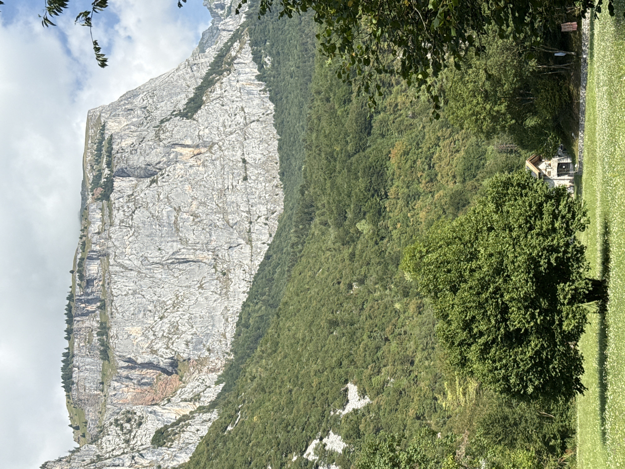 The image depicts a scenic mountain landscape. Dominating the upper portion of the frame is a massive, sheer rock face, characterized by its grey, textured surface and vertical striations. Towards the left of the rock face, patches of reddish-brown material are visible, suggesting mineral deposits or altered rock. The upper edges of the mountain are capped with a thin layer of green vegetation and scattered coniferous trees.
Below the imposing rock face, a dense, lush green forest covers the sloping mountainside. The foliage is thick and varied, with different shades of green indicating diverse tree types and varying light exposure. Interspersed within the forest, especially on the lower left, are rocky outcrops and scree slopes, partially obscured by vegetation.
In the foreground, a vibrant green meadow stretches across the lower part of the image. The meadow is dotted with small, white wildflowers. A solitary, full, deciduous tree with a rounded canopy stands in the middle of the meadow, casting a shadow. To the right of this tree, nestled at the edge of the forest and the meadow, is a small building. It appears to be a stone structure with a wooden-gabled roof and a small chimney. A short stone wall delineates the area around the building. The background is filled with the dense forest and the imposing mountain. The sky above is partly cloudy, with patches of blue visible through the white and grey clouds. The overall scene is one of natural beauty, with a clear distinction between the rugged mountain, the dense forest, and the manicured meadow with a solitary dwelling. The location is identified as San Lorenzo in Banale, Italy.