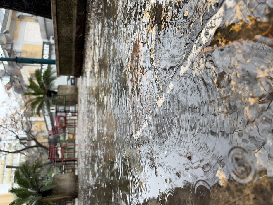 The image depicts an outdoor urban setting in Budva, Montenegro, during active rainfall. The foreground features a paved surface extensively covered by puddles, with numerous concentric ripples indicating ongoing precipitation. Scattered organic debris, including leaves and small fragments, is present within the water, alongside visible white and orange-brown discoloration of the underlying ground.
In the blurred midground, an unoccupied outdoor seating area is visible, comprising at least two red chairs and two green chairs arranged around tables. Large, square planters containing small palm-like plants (cycads) are situated around the seating. A dark, vertical structure, possibly a lamppost or building support, is present on the right.
The background shows indistinct multi-story buildings under an overcast sky. One building features a partial commercial sign reading "OMET." Bare deciduous trees are also visible, suggesting an autumn or winter season. A dark vehicle is faintly discernible on a street in the far background. No individuals are present in the scene.