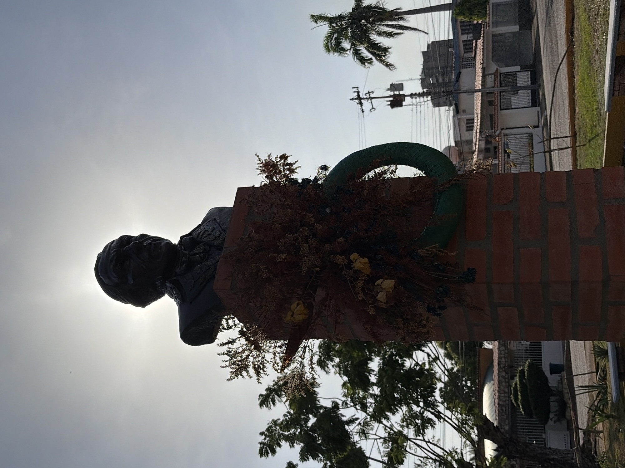 The image shows a bronze bust of a man on a red brick pedestal, adorned with a dried floral arrangement and a green wreath. The bust is silhouetted against a bright sky. Behind the pedestal, there are trees and buildings, including some houses with white walls. A palm tree and power lines are visible in the background. The location is Ciudad Guayana, Venezuela.
