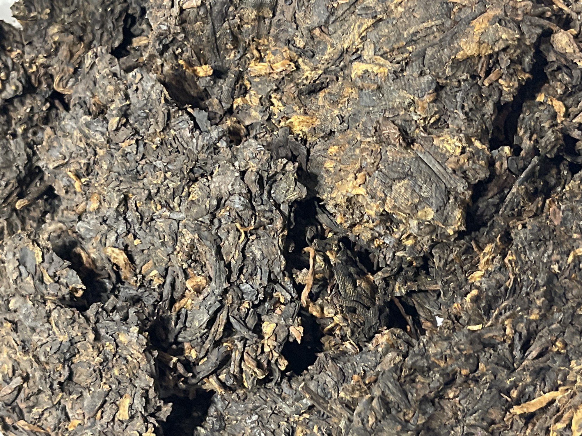 The image shows a close-up of dark, compressed material, likely tea leaves. The leaves are mostly black and brown with some golden or yellowish highlights. The texture is rough and uneven, with many small fragments tightly packed together. There is no evidence to suggest the image's location is Kyiv, Ukraine. The image solely displays the compressed material. There are no visible people, actions, or interactions.
