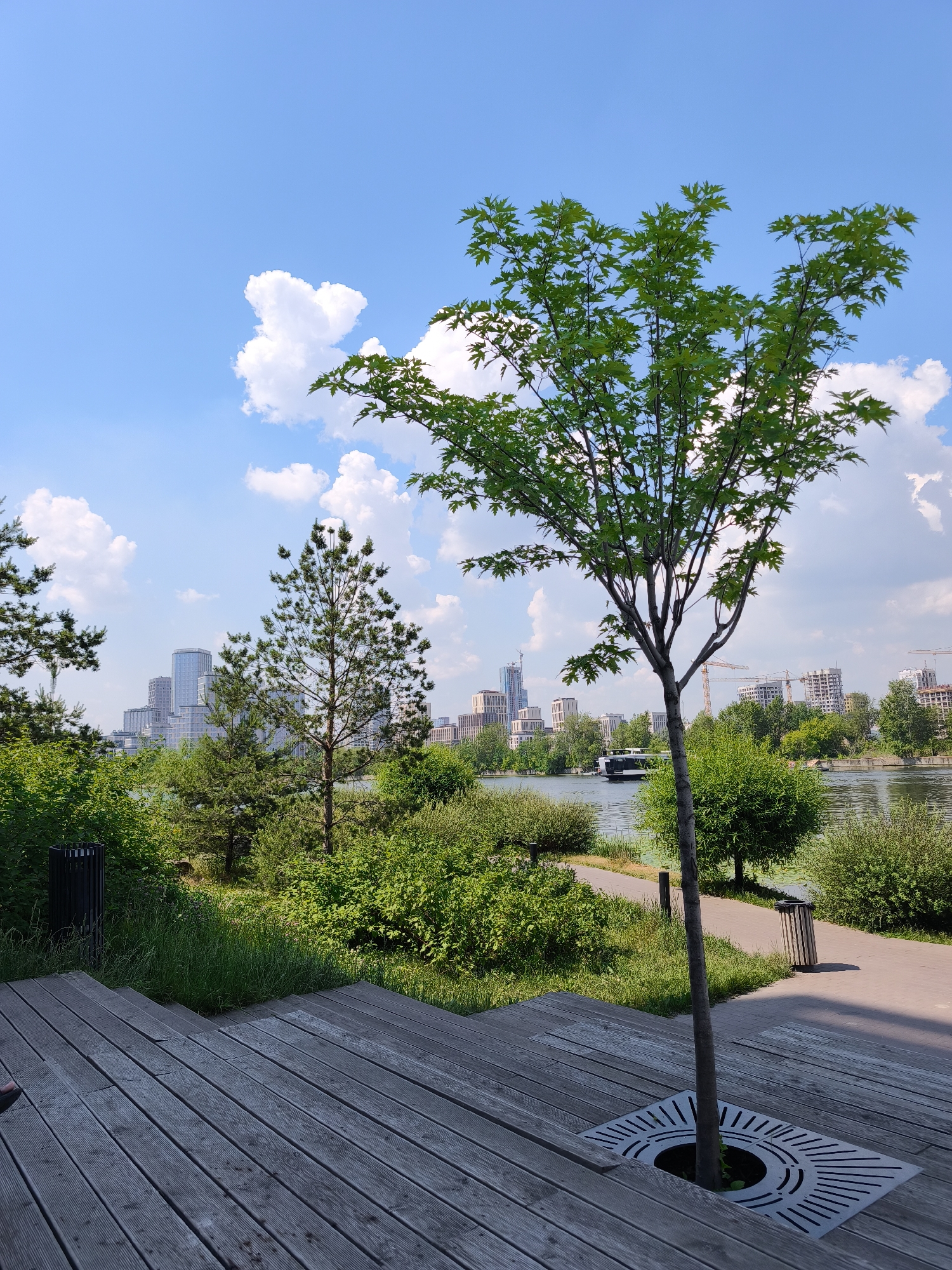 In Moscow, Russia, this image captures a serene park scene on a bright, sunny day with a clear blue sky dotted with fluffy white clouds. In the foreground, weathered wooden planks form a tiered seating area or deck, with a young, slender tree growing through a circular metal grate in the center. To the left, a black trash receptacle is visible among lush green foliage.
The middle ground features a winding paved pathway and more dense green bushes and trees. A medium-sized pine tree stands out amongst the deciduous greenery. Beyond the trees, a calm body of water, likely a river or canal, reflects the sky. A dark-colored boat with a white superstructure navigates the water.
In the background, a modern cityscape rises against the horizon, characterized by tall glass-fronted buildings and construction cranes, indicating ongoing development. The overall impression is one of a well-maintained urban park offering a tranquil respite with views of both nature and the city's architectural landscape.