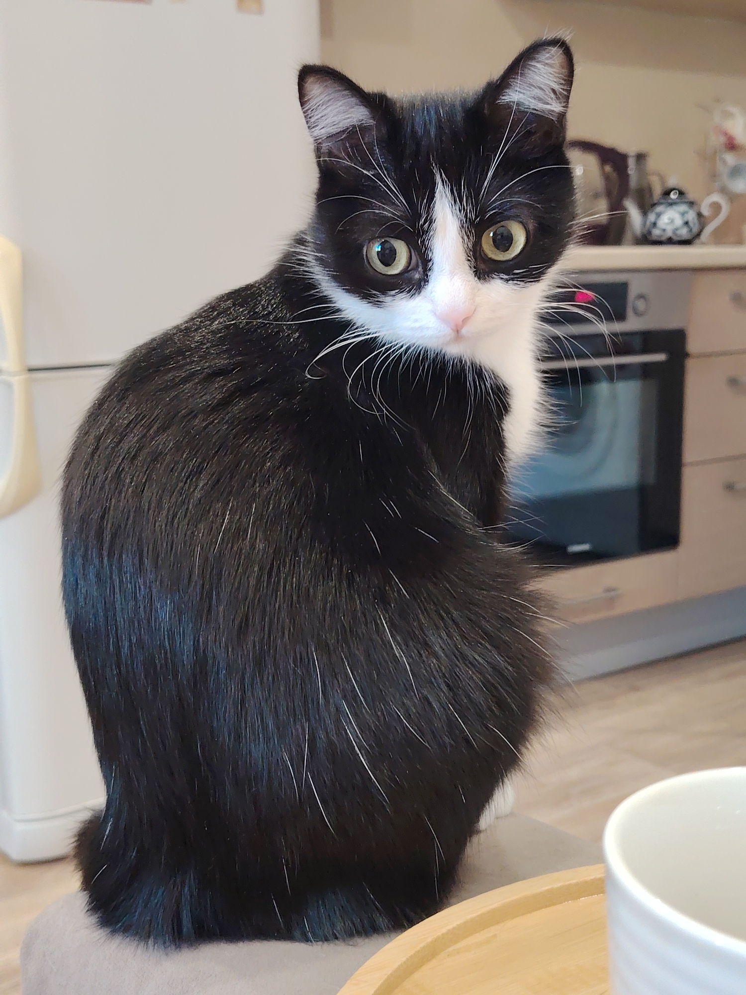 A black and white cat with wide, green eyes and prominent white whiskers sits facing away from the camera and looking over its shoulder. Its fur is primarily black with white markings on its chest and face. The cat is positioned on a light brown surface, possibly a chair cushion, in what appears to be a kitchen. In the background, kitchen cabinets, a stove, and various objects are visible, including a small decorative teapot on a shelf. A white mug and a round, light-colored wooden tray are in the foreground. The lighting suggests an indoor setting during the day.