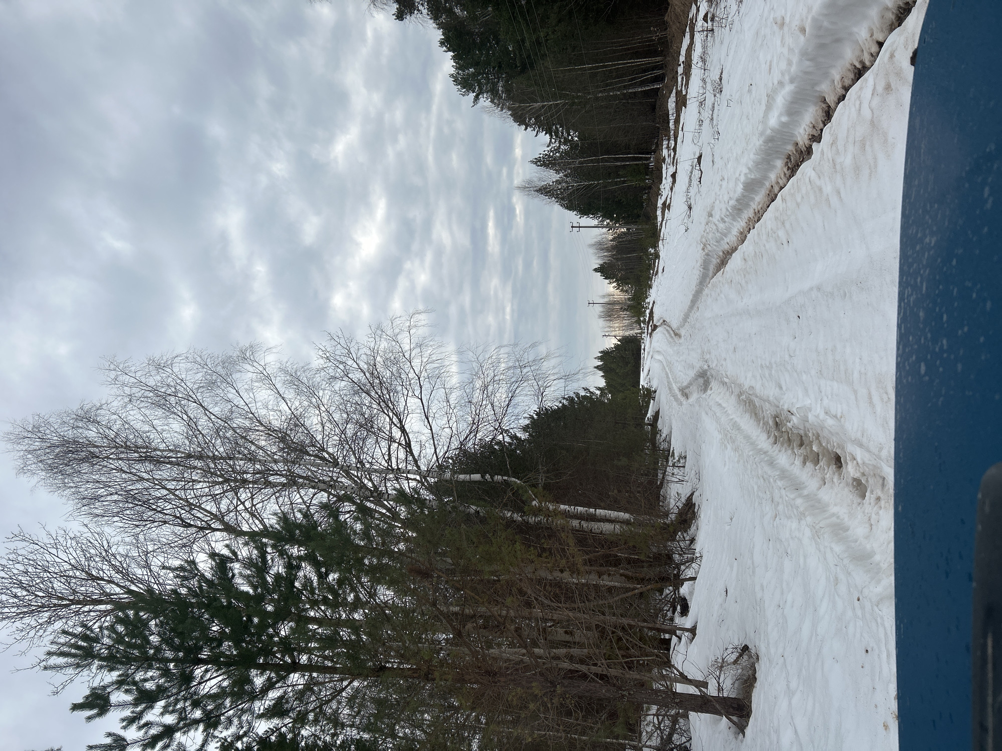 The scene depicts a snowy path in a wooded area under an overcast sky. A dirt path is partially covered in snow, with tire tracks visible. Trees line both sides of the path, with a mix of bare deciduous trees and evergreen conifers. Power lines are visible in the distance. The location is Уральское, Russia. A blue object is in the foreground.