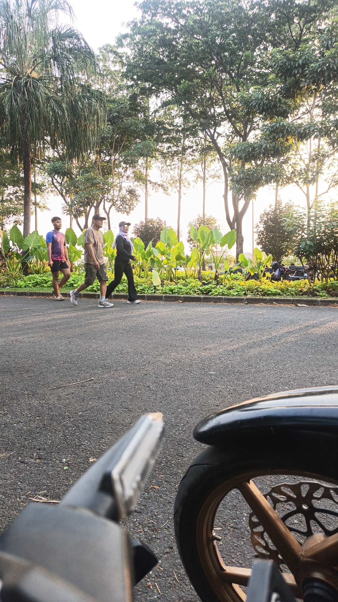 In the city of Bacin, Indonesia, at what appears to be a park or recreational area, three individuals are walking on an asphalt path. The person on the left is a male wearing a blue and purple t-shirt and black shorts. Next to him, a male in a tan t-shirt and olive shorts is walking. The third person, on the right, is a female wearing a purple hijab, black long-sleeved shirt, and black flared pants. Behind them, lush green foliage, including large-leafed plants and trees, borders the path. The sun is setting, casting long shadows and illuminating the scene with a warm, golden light. In the foreground, the blurred image of a motorcycle's front fairing and wheel is visible, indicating that the photo was taken from the perspective of someone on or near a motorcycle. The overall atmosphere is serene, suggesting a peaceful evening walk or exercise.