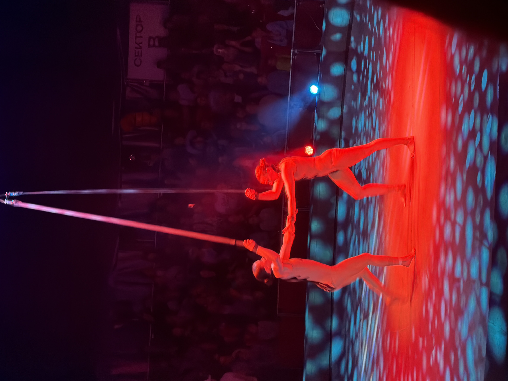 The image depicts an indoor performance with two individuals engaged in an aerial act. They are suspended from a central point by two upright poles, each holding onto one pole. Both performers are dressed in light-colored, form-fitting outfits, suggesting a dance or acrobatic performance. They appear to be interacting, with their arms extended towards each other. The stage floor is illuminated with vibrant red and blue lights, creating a dynamic visual effect. In the background, an audience is seated in tiered seating, dimly visible due to the dramatic stage lighting. A sign with Cyrillic lettering, "CEKTOP B," is visible in the upper right portion of the background, indicating a seating section. The overall atmosphere is one of a live performance, likely a circus or theater show, given the acrobatic elements and the presence of an audience.