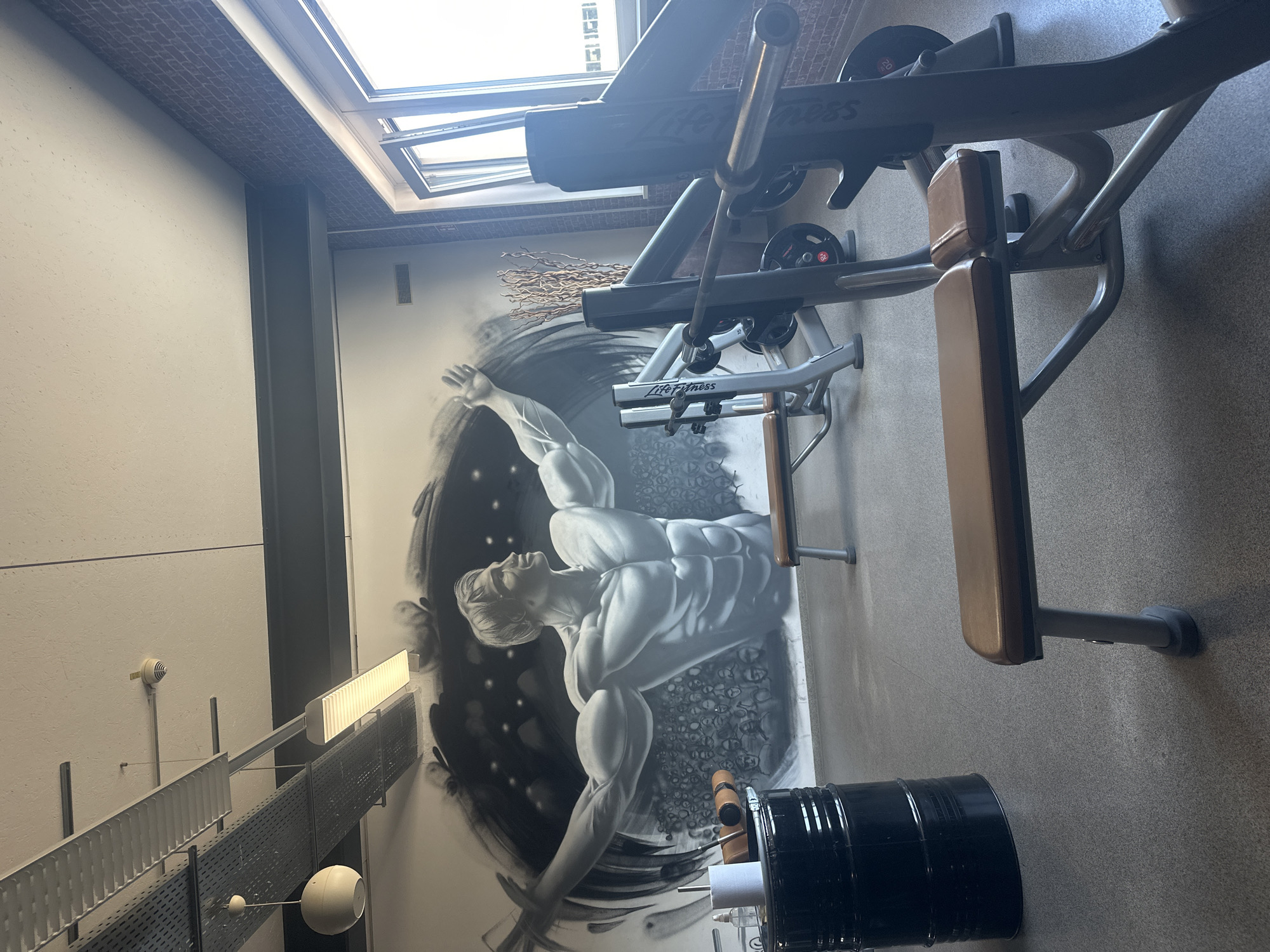 The image depicts an indoor space, presumably a gym in Brunnthal, Germany. A black metal barrel sits on the right. A weight training machine is prominently featured in the foreground, with the brand "Life Fitness" visible on its frame. A mural adorns the wall, displaying a muscular figure against a backdrop of swirling black and white patterns. The presence of a skylight suggests ample natural light. A row of metallic structures with lighting fixtures and a white spherical lamp is also visible.